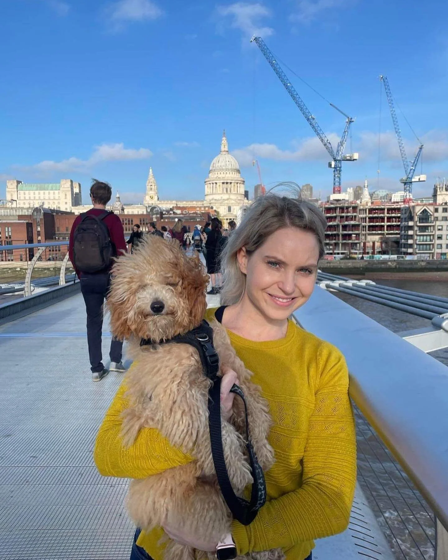 FAMLEE ❤️

#stpauls #cavapoo #puppylife #likehavingababy