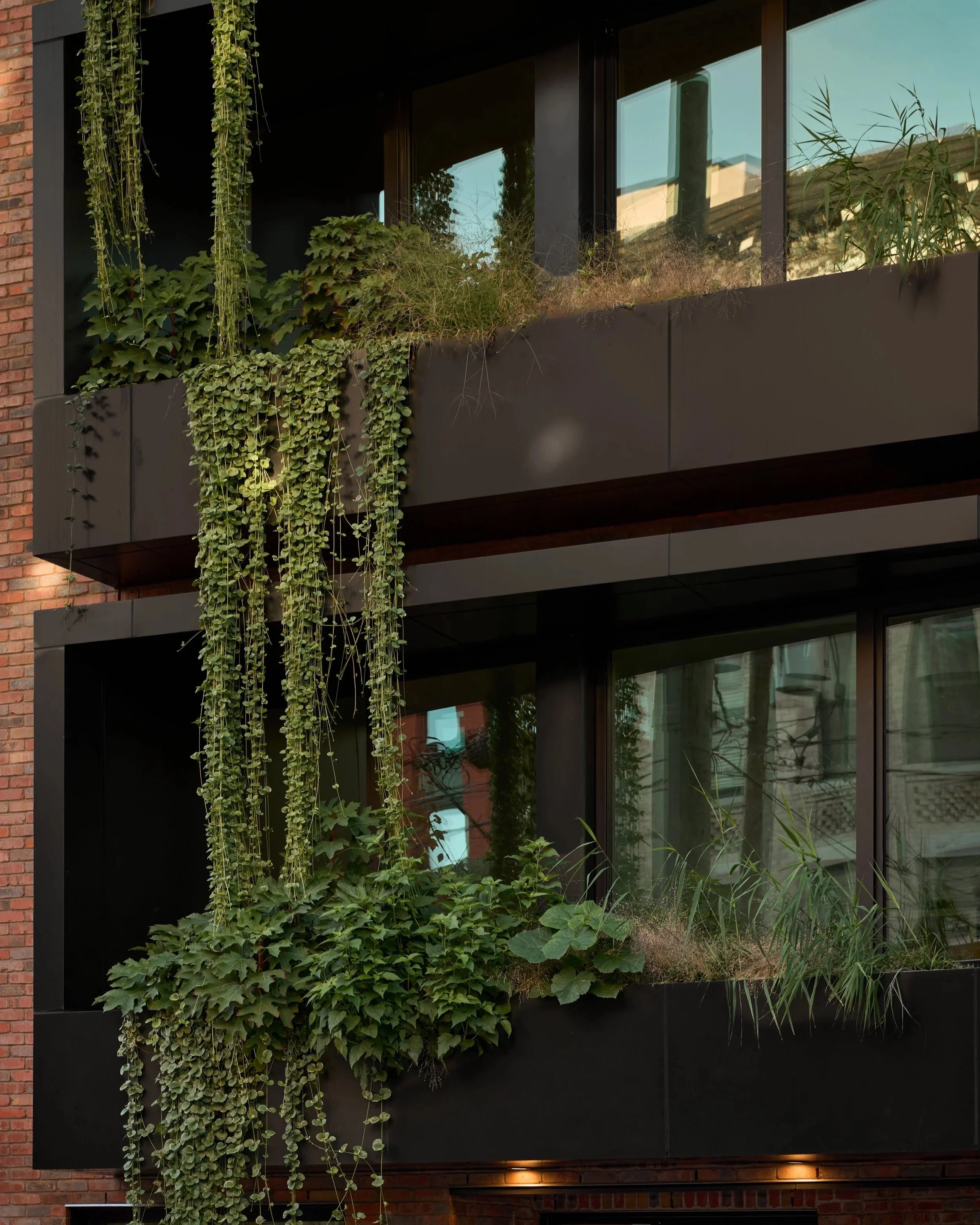 Living Systems Oct 3rd High Res 44.jpg