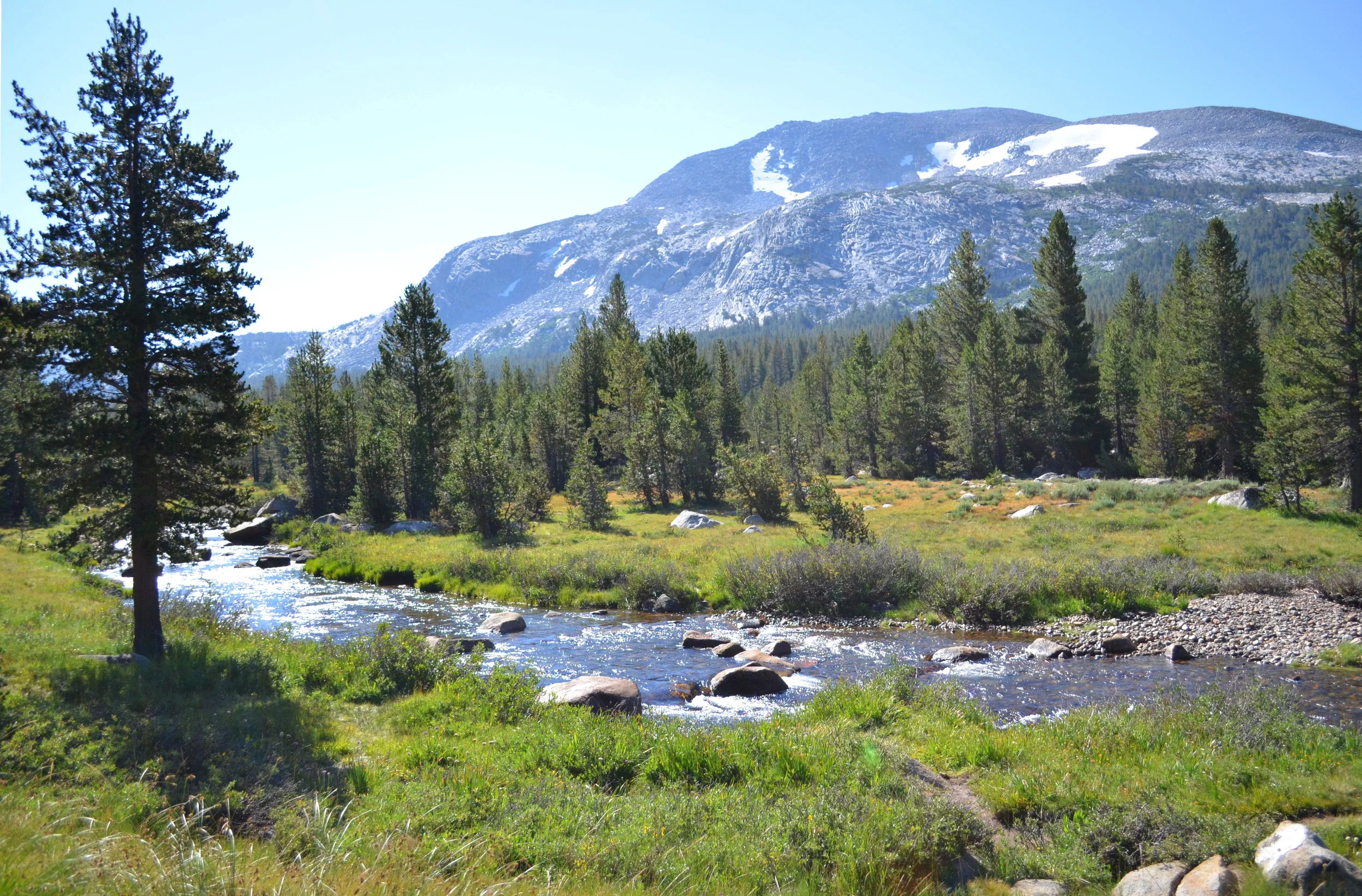 Tuolumne Meadows, Yosemite
