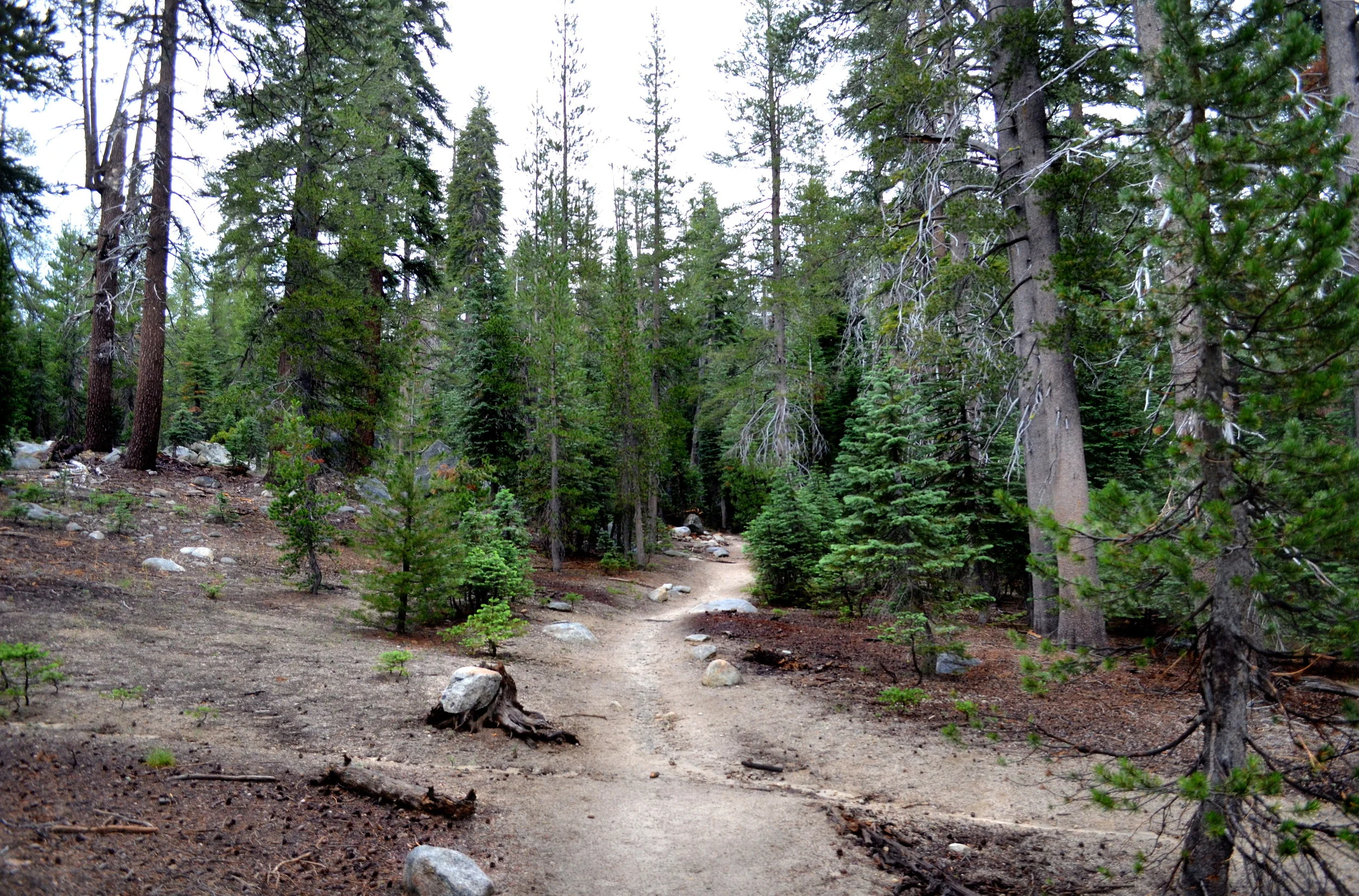 Mountain Hike, Yosemite