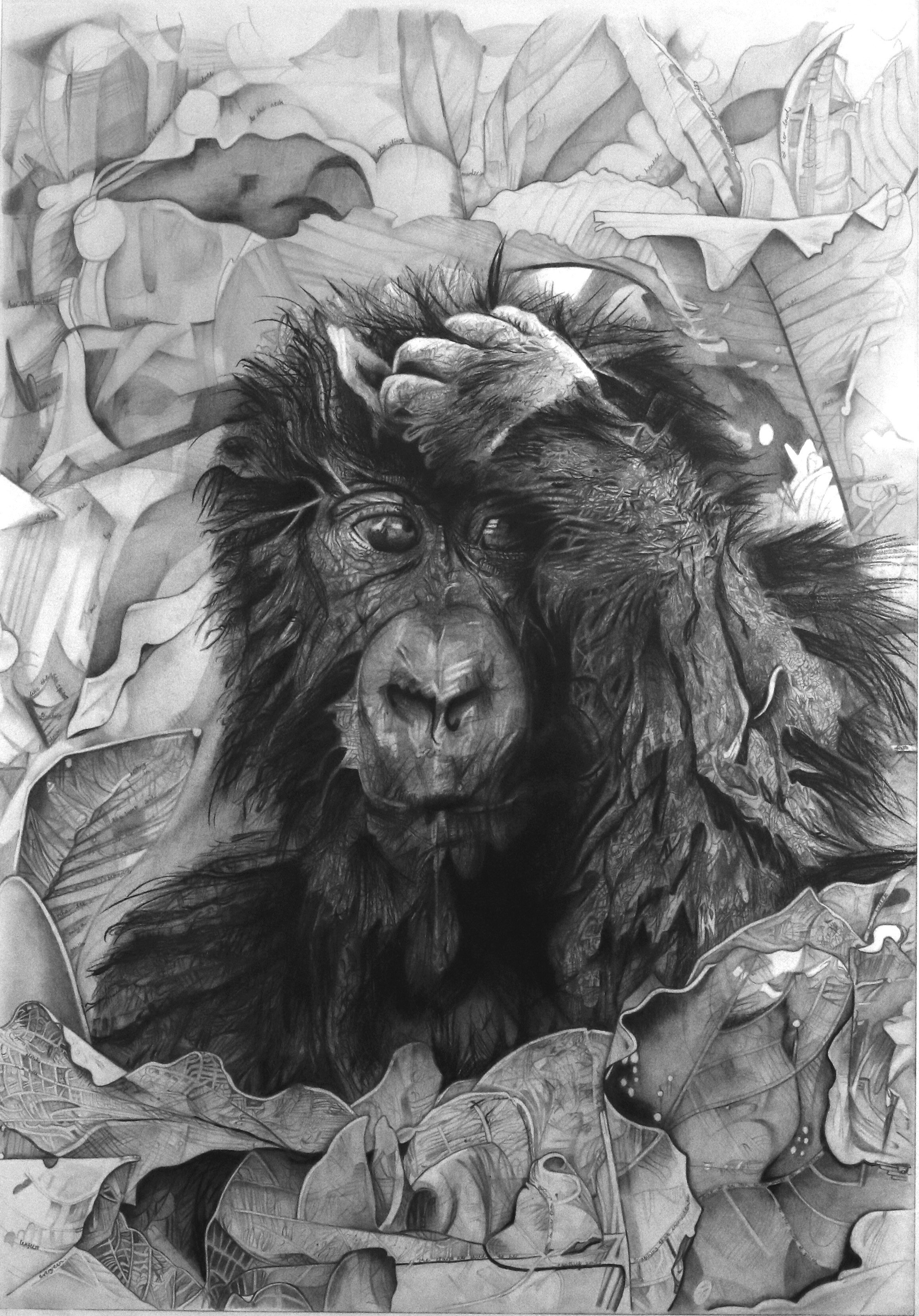 Gorilla First Edit.jpg