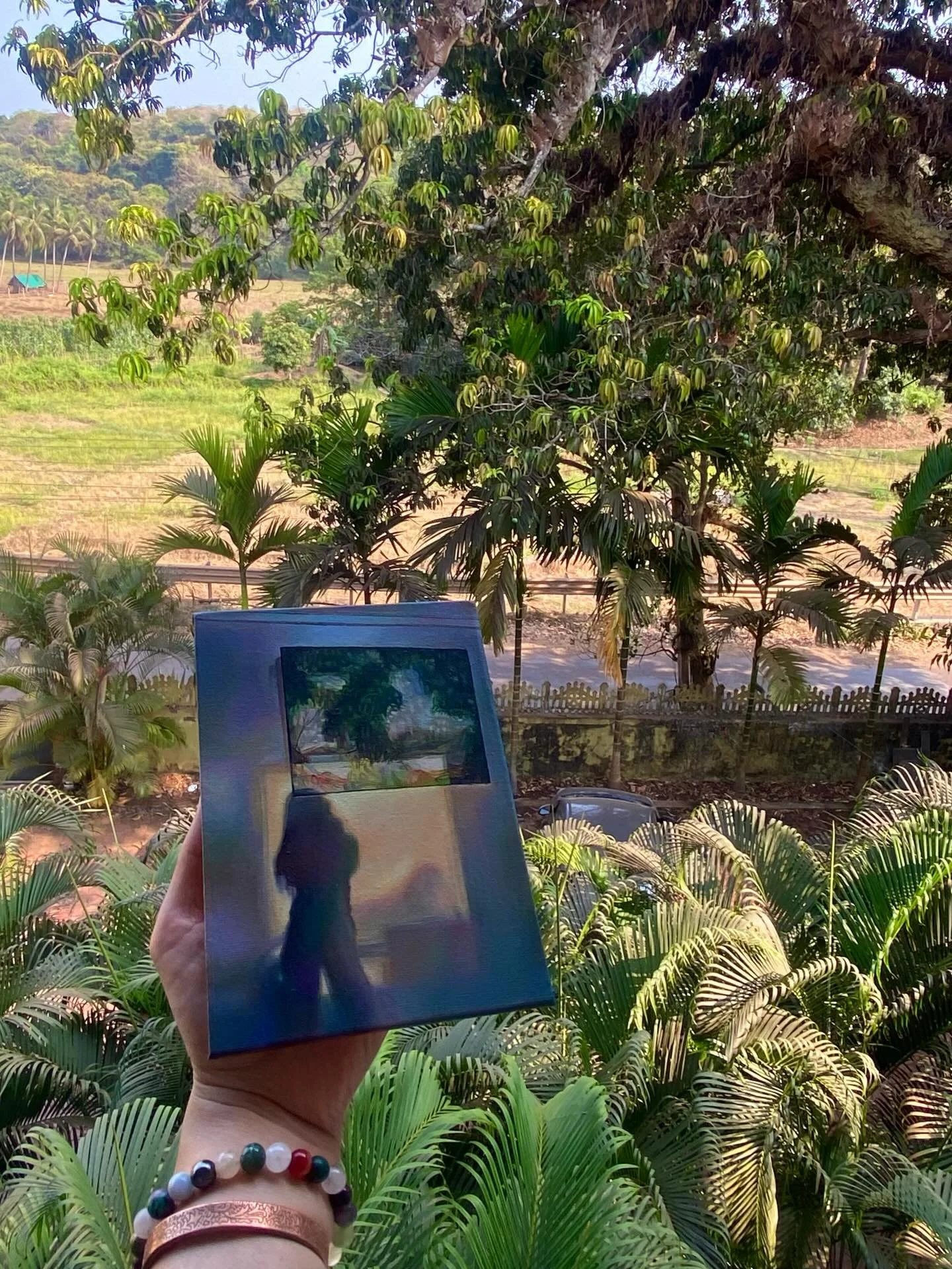 Quick little shadow painting from the jungle and framer, of @alex_oliver_art #oil #art #paint #shadow #green