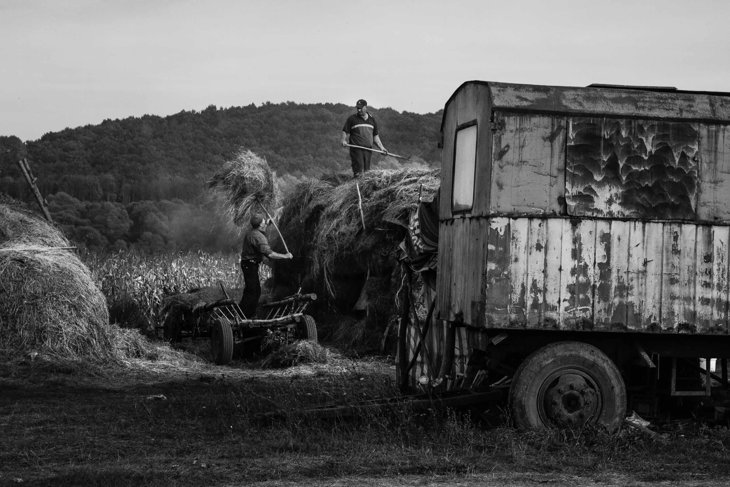 _MG_5987.jpg
