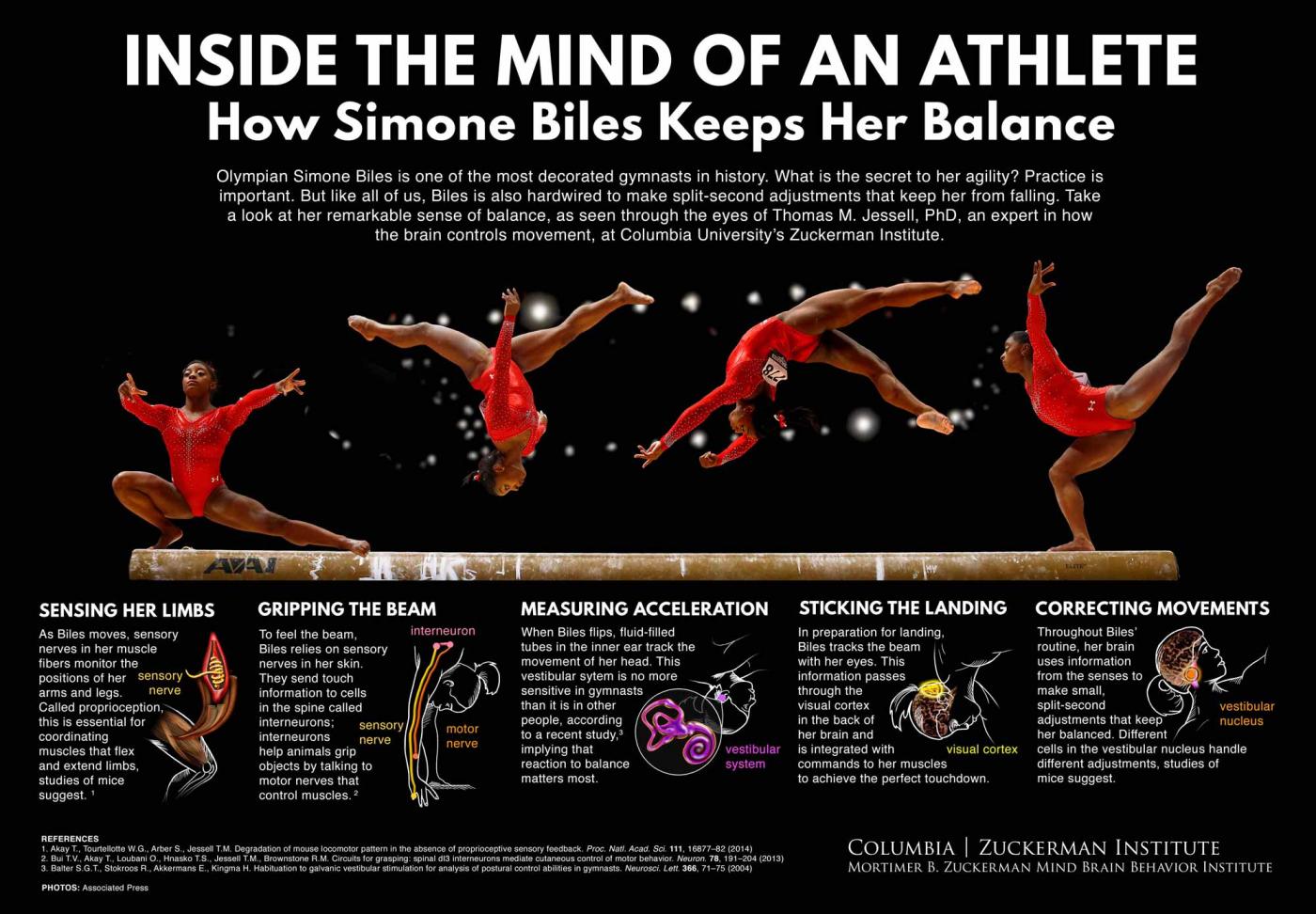 Hero-Infographic-Biles-07-19-17.jpg