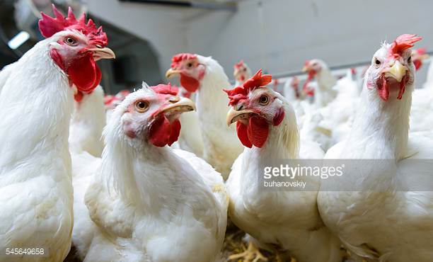 Photo by buhanovskiy/iStock / Getty Images