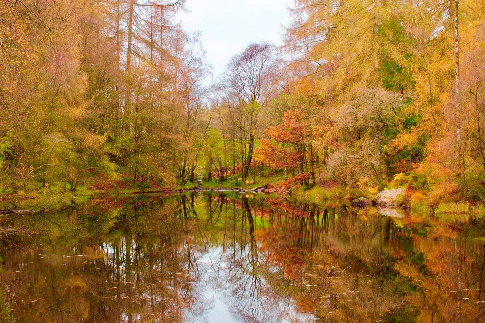 Ann Holden - Still Autumn Day.jpg