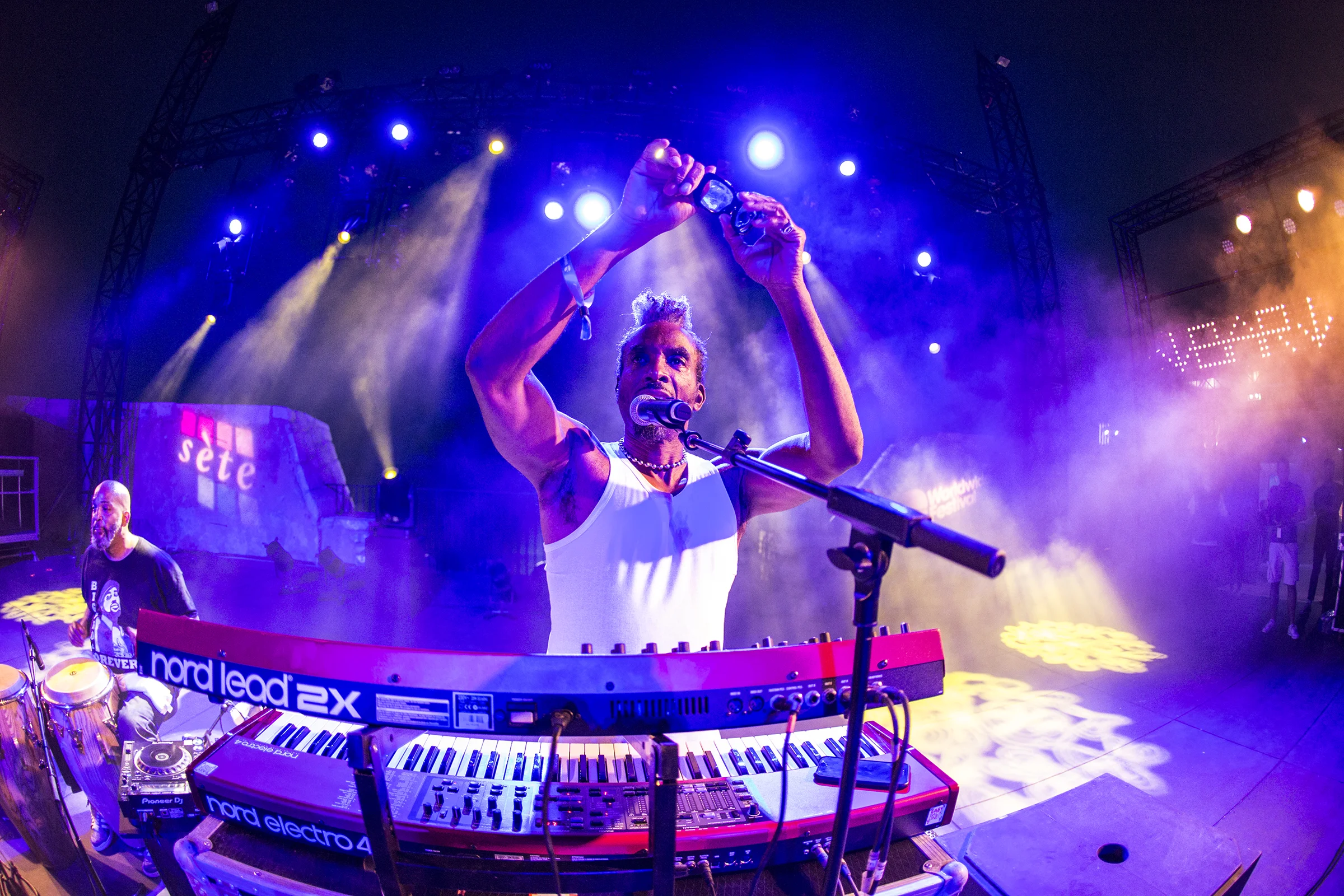 TDMAmpFiddler0112.jpg