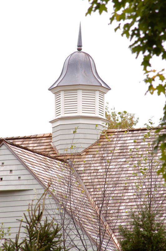 Cupola with copper finial