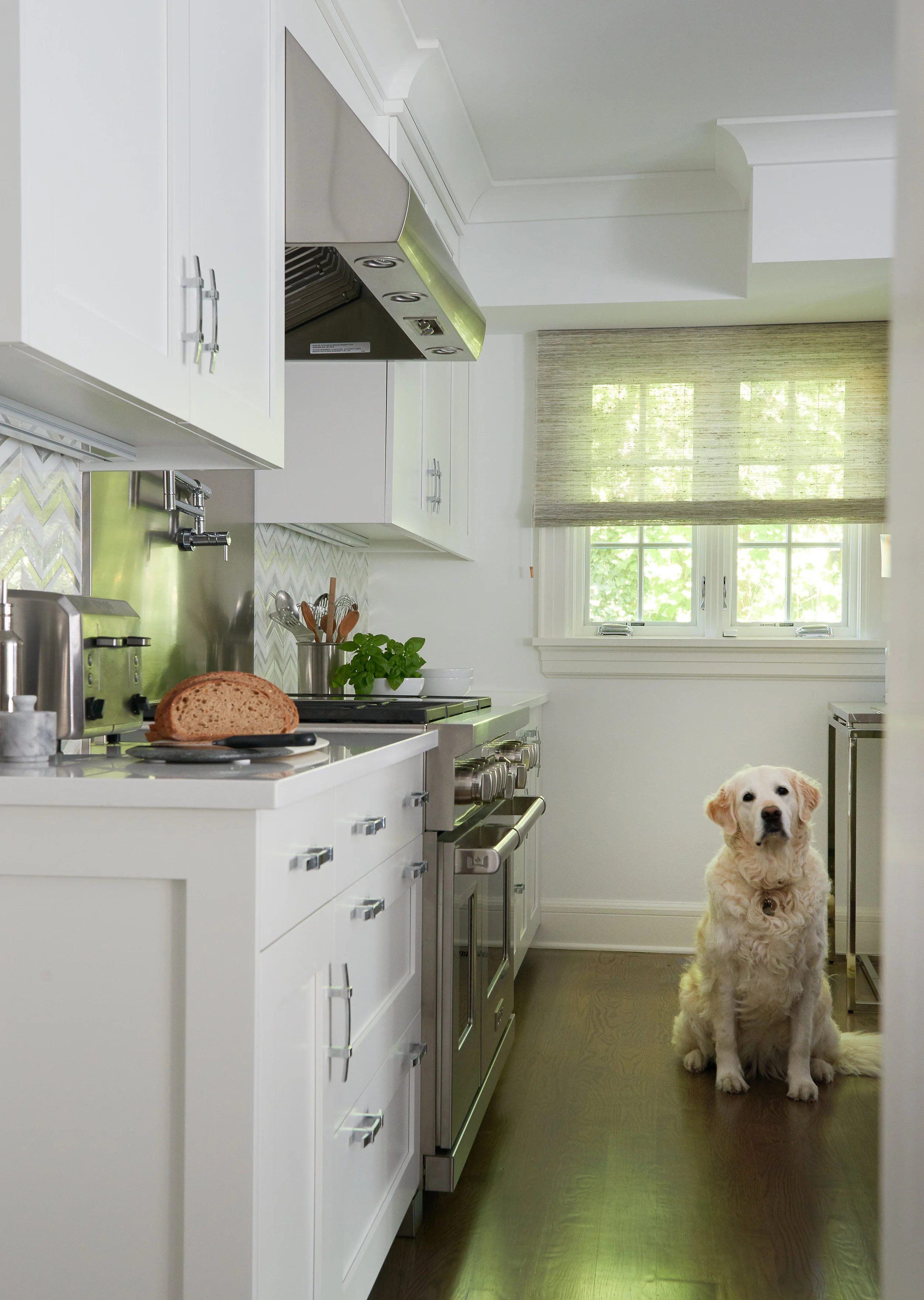 renovated kitchen