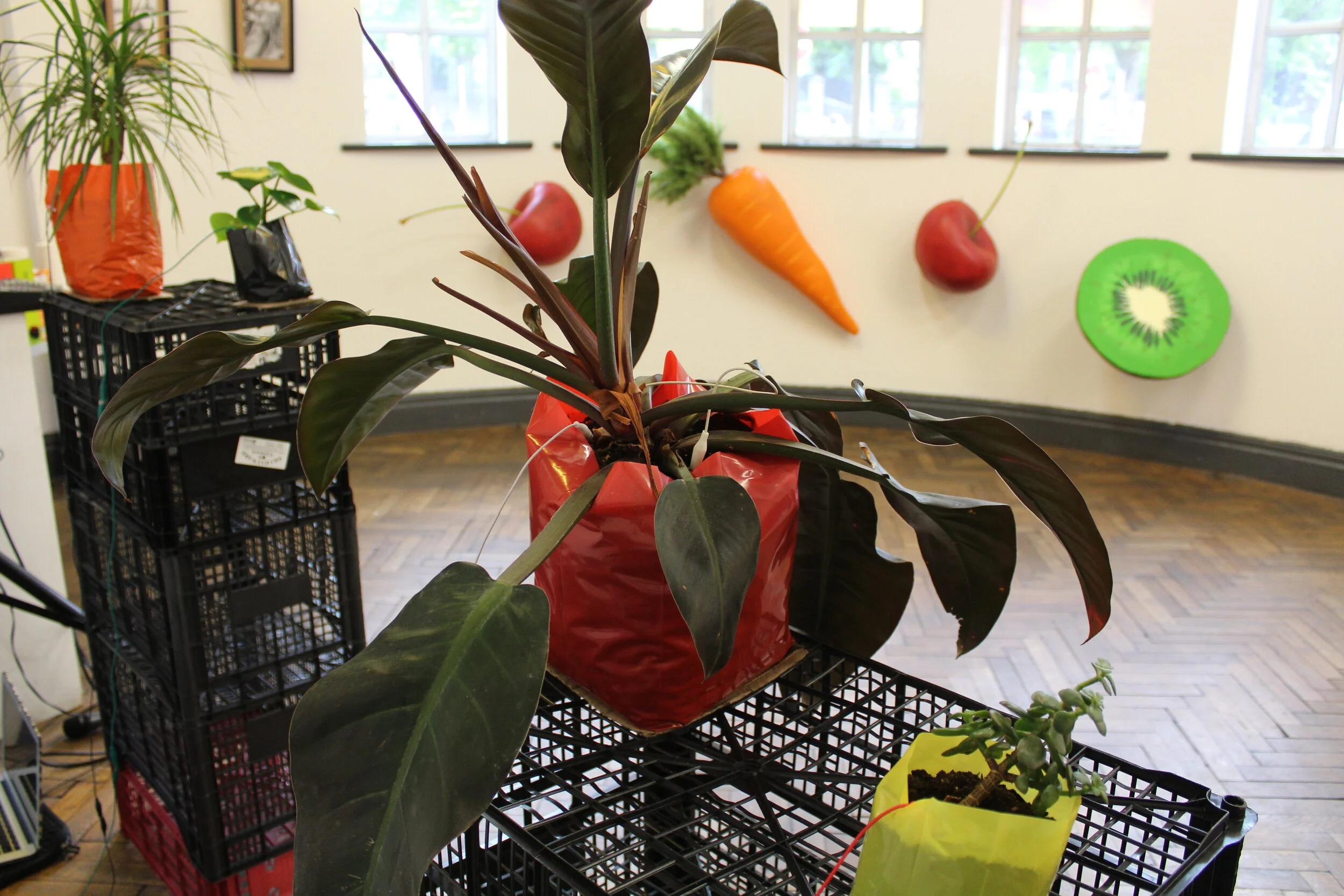 Protesting Plants at DEAD-HEAD