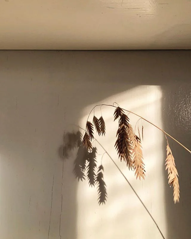 Fleeting sunshine moments &agrave; la winter in a Ithaca
