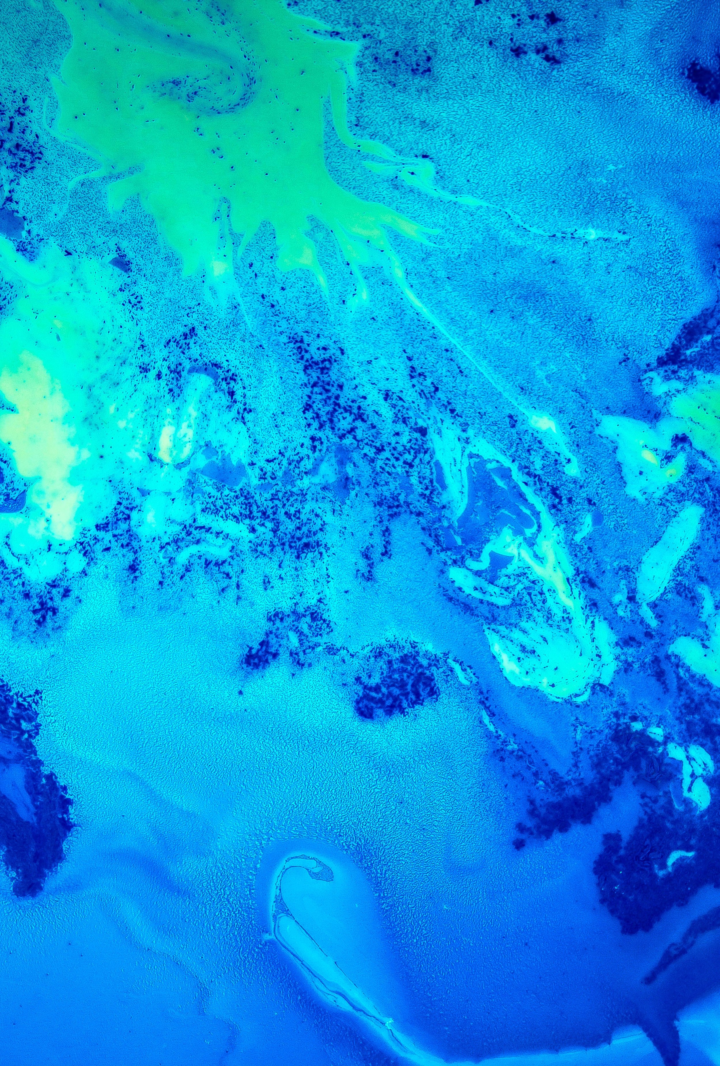 SciLine_Abstract_0005.jpg