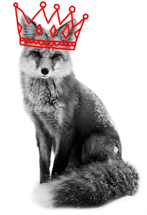 press_fox.jpg