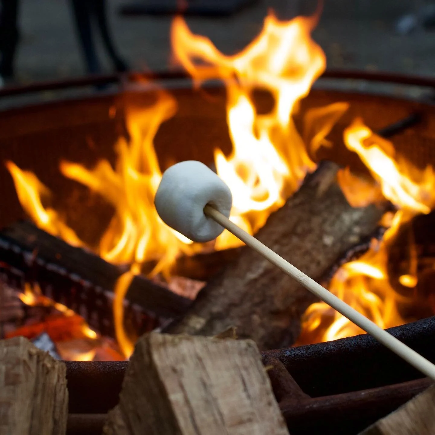 We know it&rsquo;s a cold one out there so we&rsquo;ll have the patio heaters and fire pits out tonight! We will have hot spiced wine and live music as well! See you tonight! 🥳🔥🍷🦊‼️

#foxyloxy #cafe #latte #coffeefox #happyhour #wine #cozy #coffe