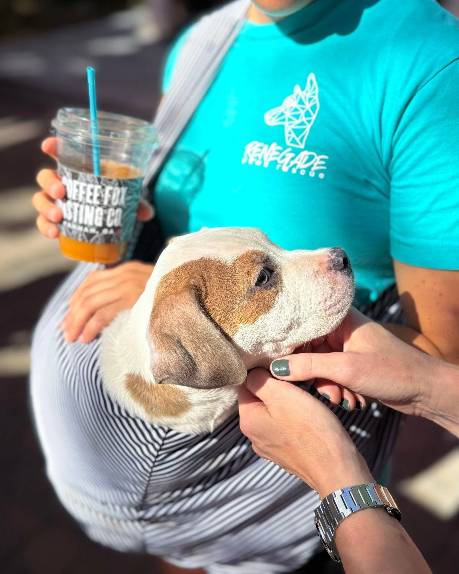 ✨ It&rsquo;s @starlandfirstfridays tonight, March 6! ✨
Swing by Foxy for a cozy evening in the courtyard with live music by RM String Band from 6&ndash;9 PM 🎶

We&rsquo;re serving up our Lattes &amp; Lone Stars special:
☕️ $3 hot or iced lattes
🍺 $