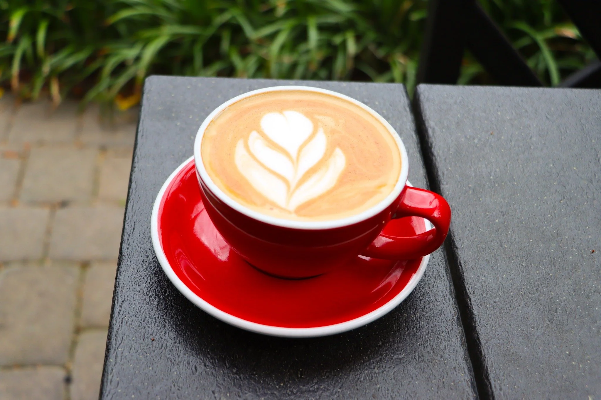 ☕⚽ Happy Wednesday, Foxy fam.

Swing by Foxy Loxy Caf&eacute;, grab your favorite latte, and catch all the World Cup action in our courtyard. 🌿📺 Nothing beats great coffee, open air, and cheering on your team with friends!

Who are you rooting for?