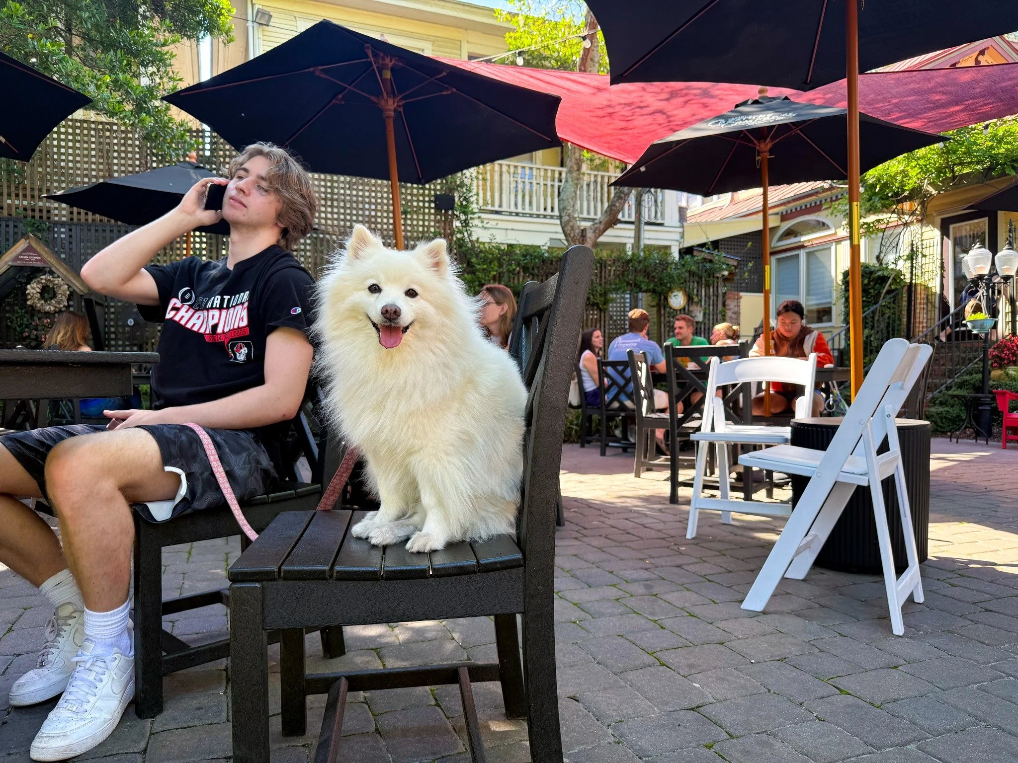 Sometimes the best plan is no plan&mdash;just a cozy seat, something cold in your hands, and good company (furry friends included). Stop by and stay a while 🤍

#slowdownhere #courtyardmoments #foxandthehound