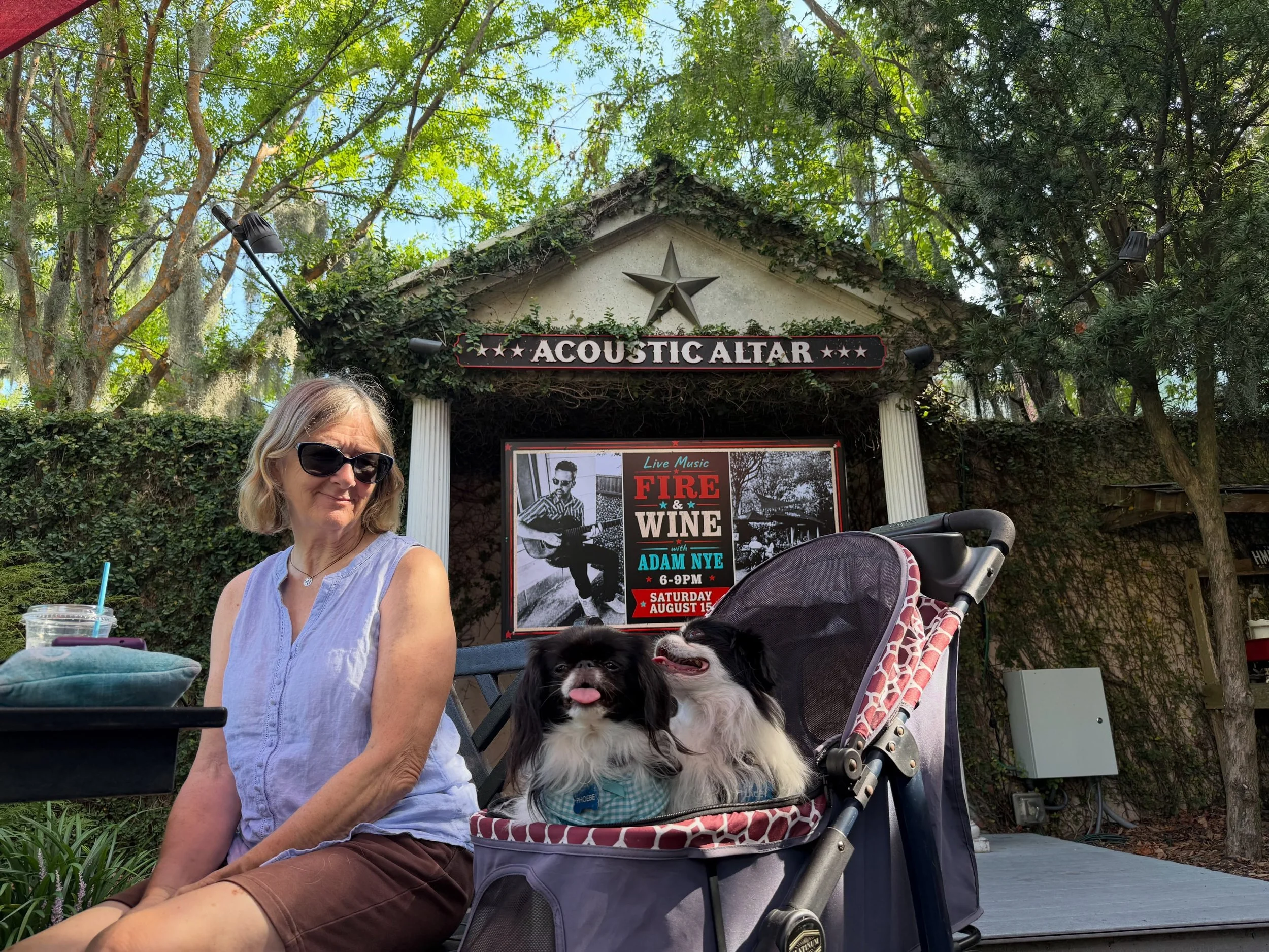 Loved meeting this stroller full of cuteness this morning in the courtyard! 

#foxandthehound #dogsandcoffeeshops #courtyardgarden #visitsavannah