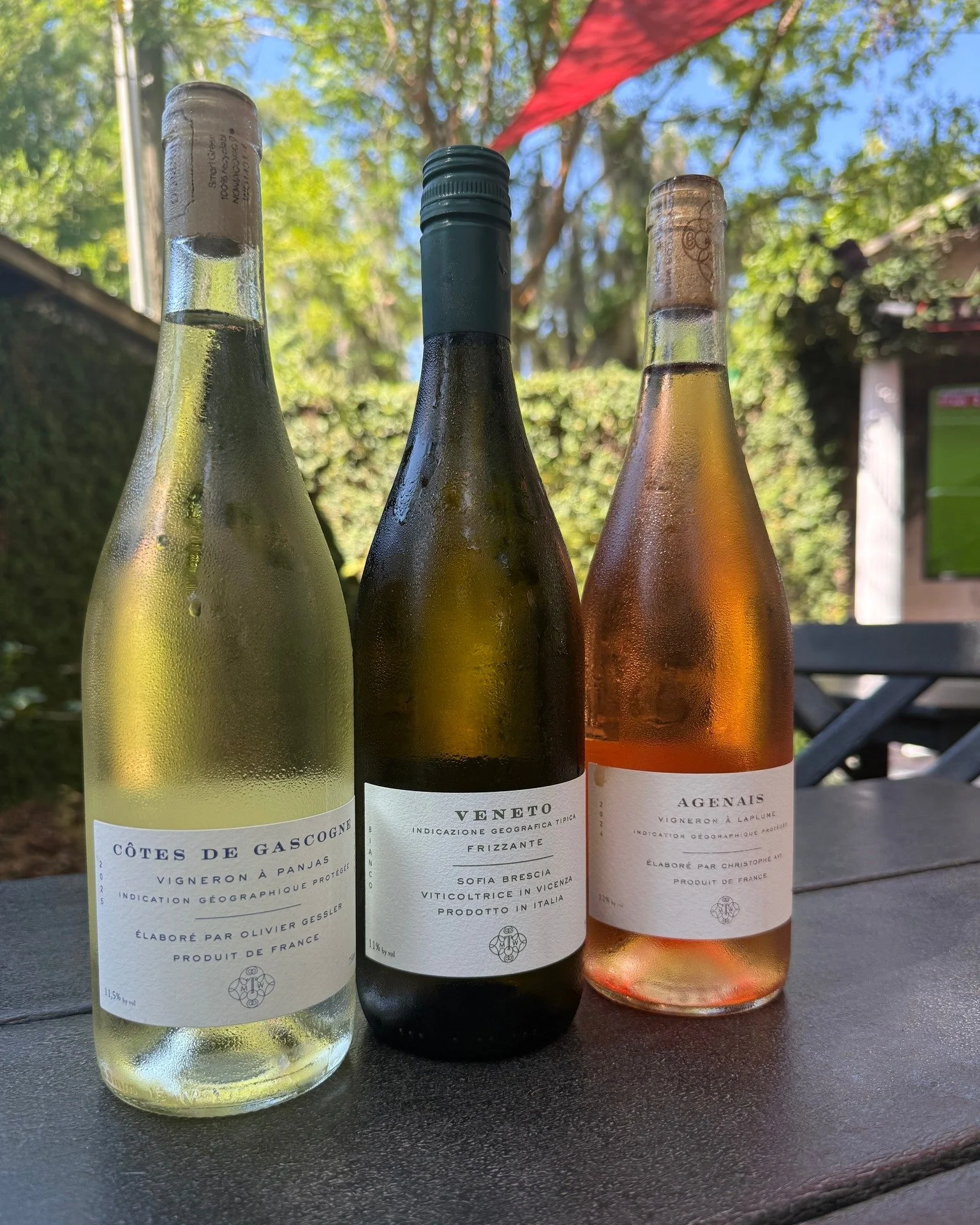 Join us for Live Music Fire &amp; Wine this Saturday🔥🍷🎶

Grab a seat in the courtyard and enjoy some of our favorite chilled pours from @marytaylorwine, perfectly served cold for a summer evening. While you sip, enjoy live music from Noah Tabakin,