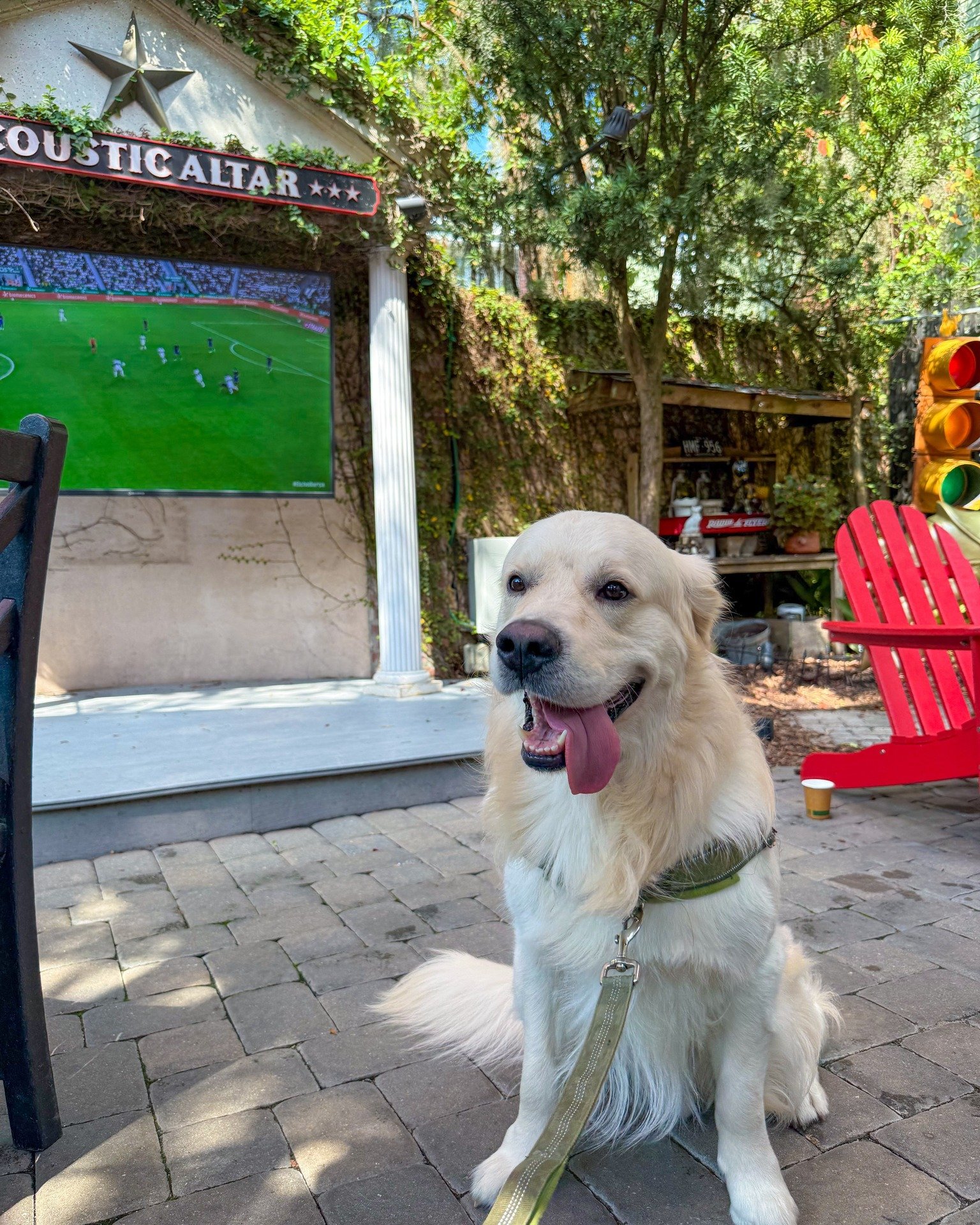 🐾 We had a special visitor in the courtyard! @savghostpirates mascot Blizzard stopped by to take in the action, from posing for the camera to keeping a close eye on the soccer match. Thanks for spending part of your day with us, Blizzard! ⚽️🐶

#fox
