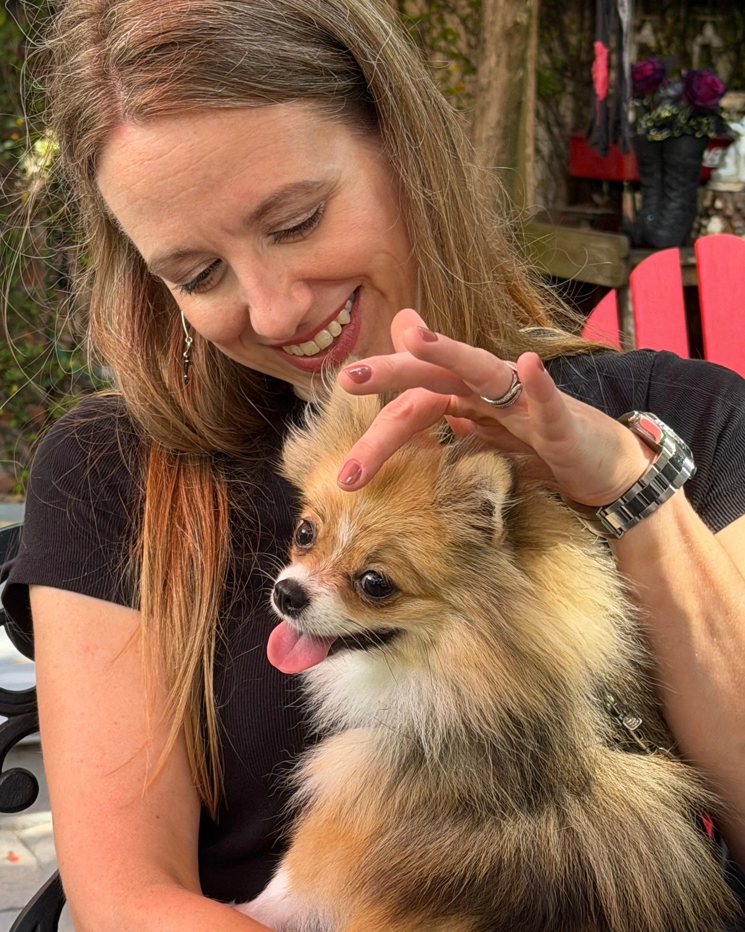 Meet Ms. Chiclet! 🐾 Thanks to @chiclet_the_tinydog and Julie for bringing a little extra joy to the caf&eacute; . We love seeing our favorite four-legged visitors stop by for a visit. 💛

#Foxandthehound #FoxyLoxyCafe #SavannahCafe
