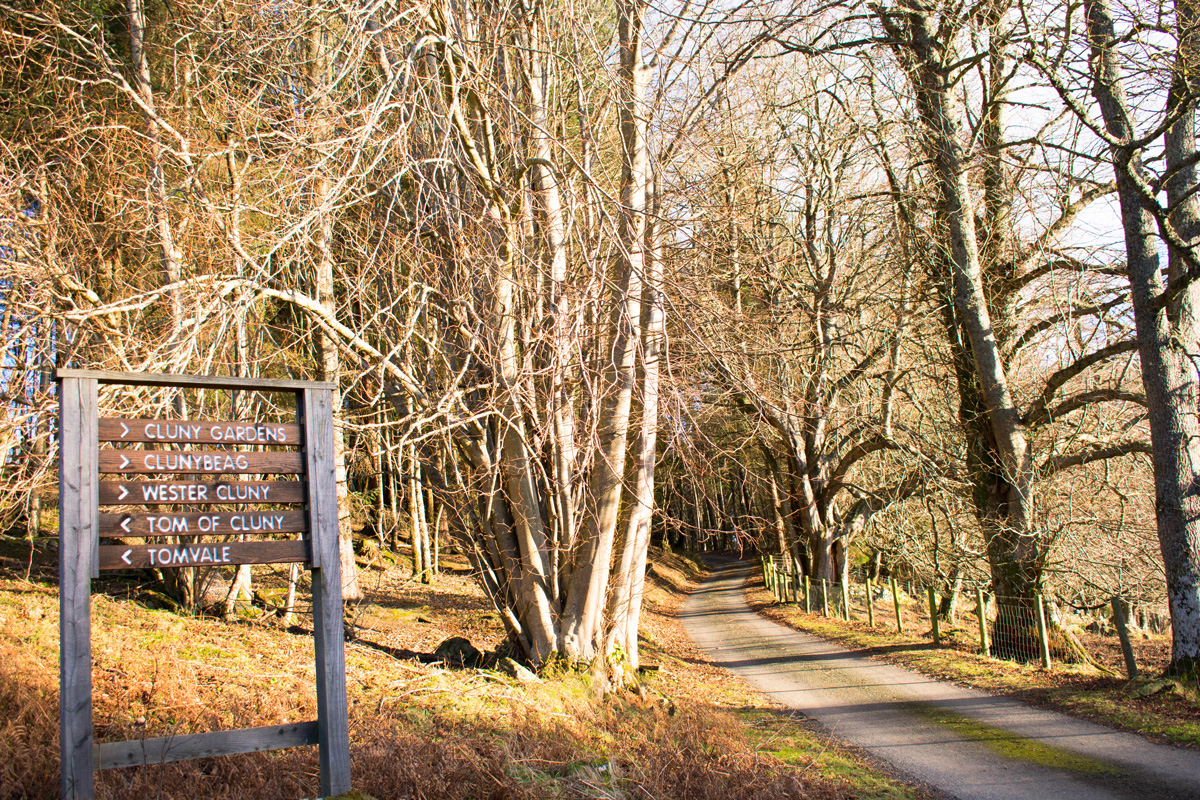 Road leading to Cluny House Gardens