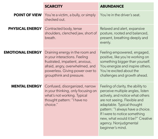 Abundance framework.png