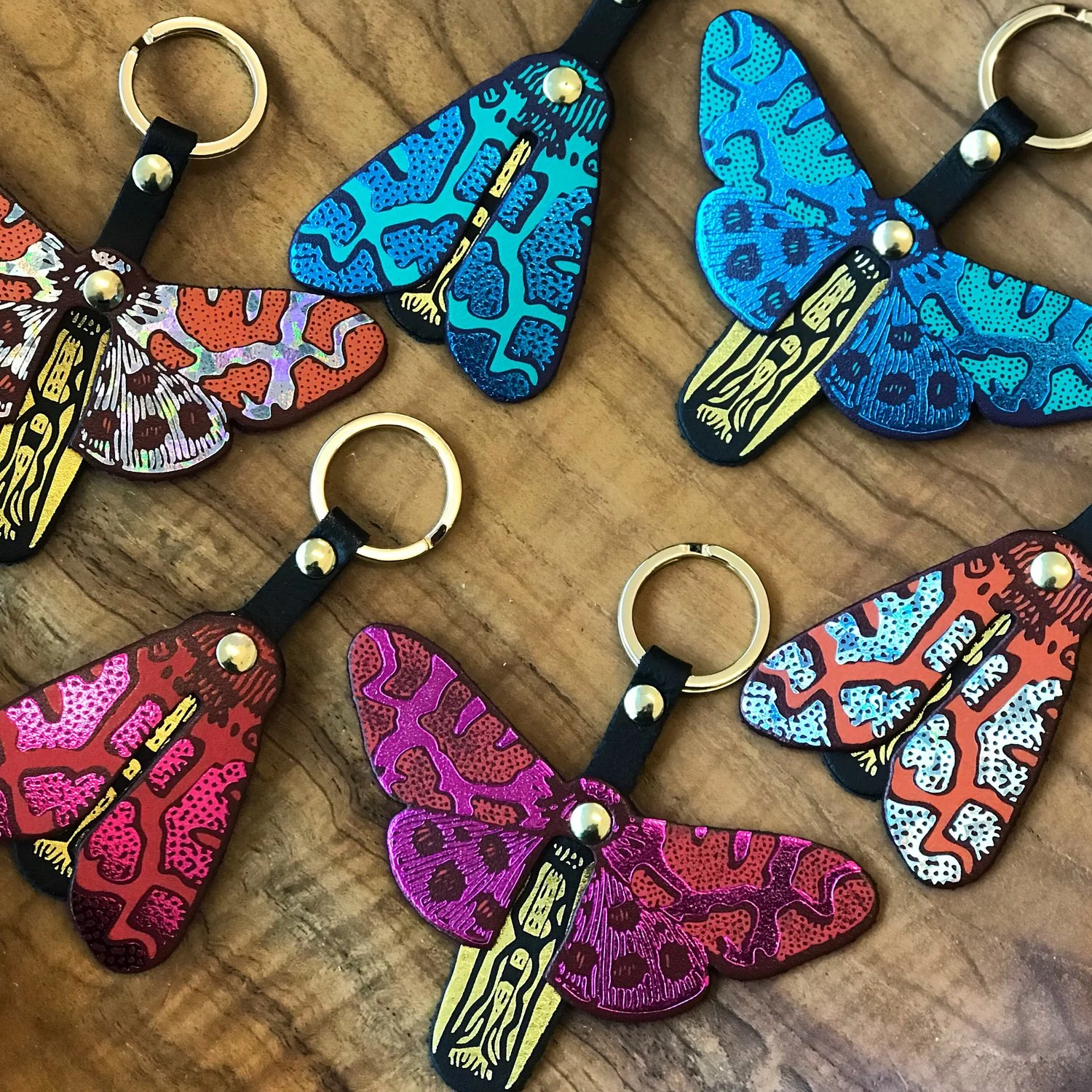 moth butterfly6.jpeg