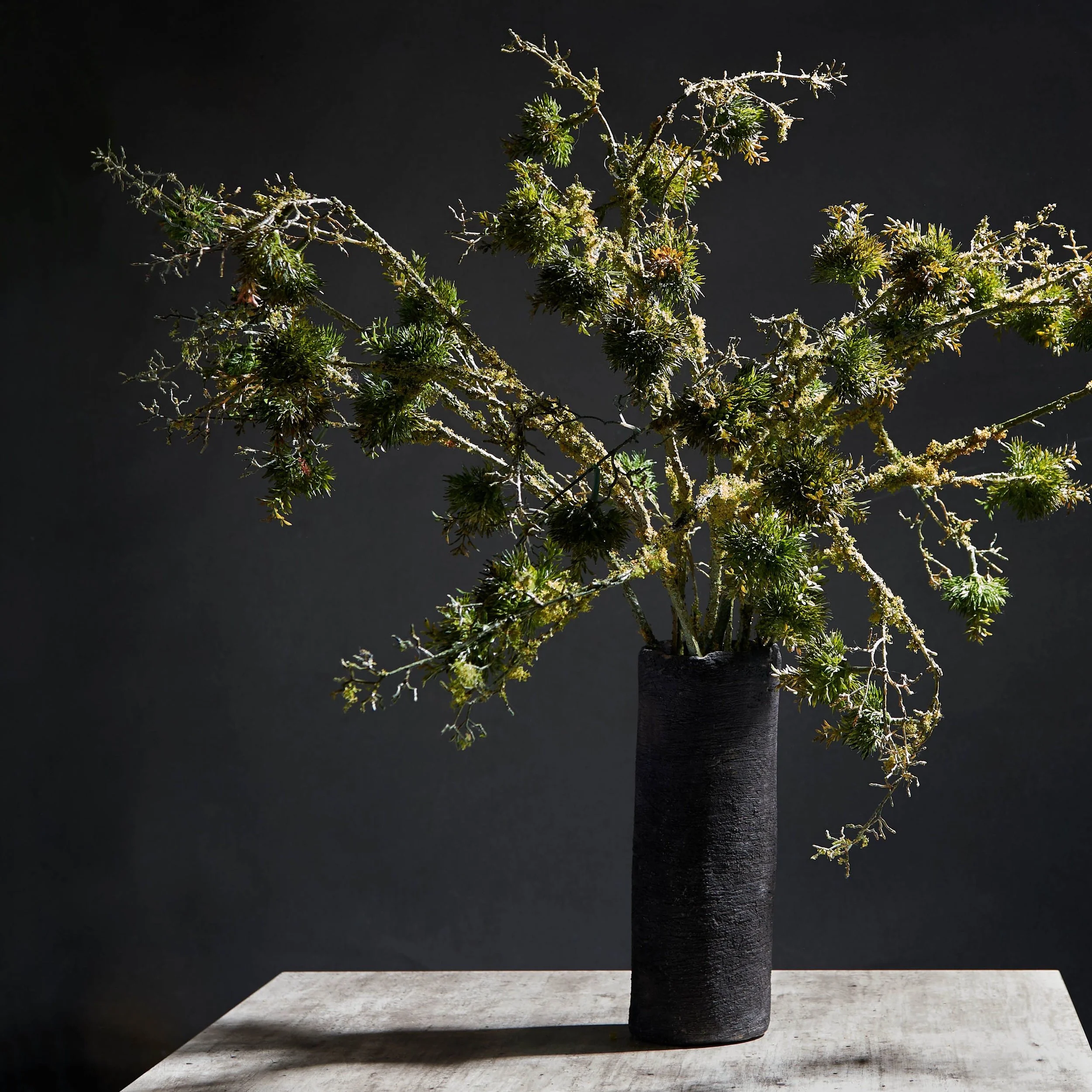 moss branches1.jpg