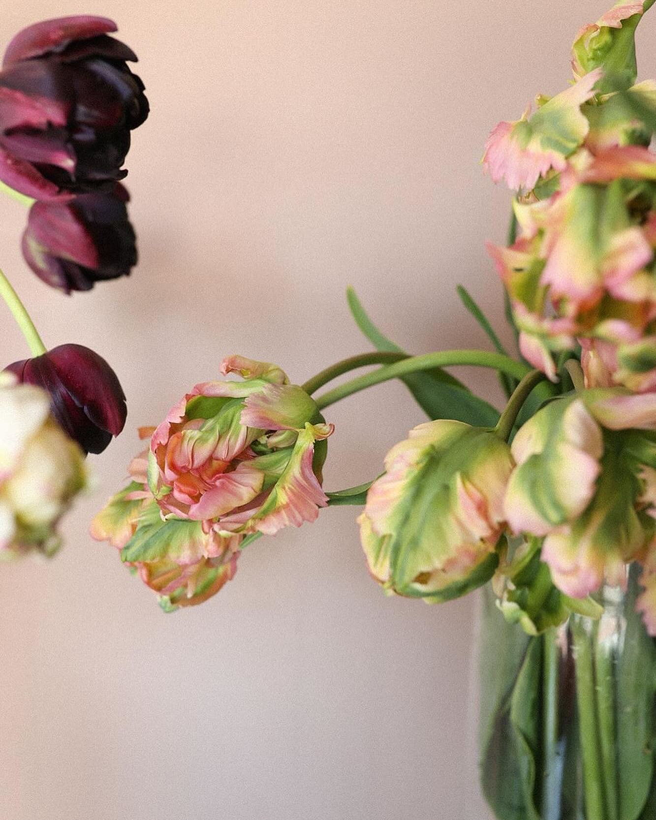 According to the doyenne of floristry, Constance Spry, &lsquo;some tulips last so long you could almost dust them off and others you can&rsquo;t trust overnight&rsquo;
It was last year that Jo @ombersleyflowerfarm first wowed us with her beautiful tu