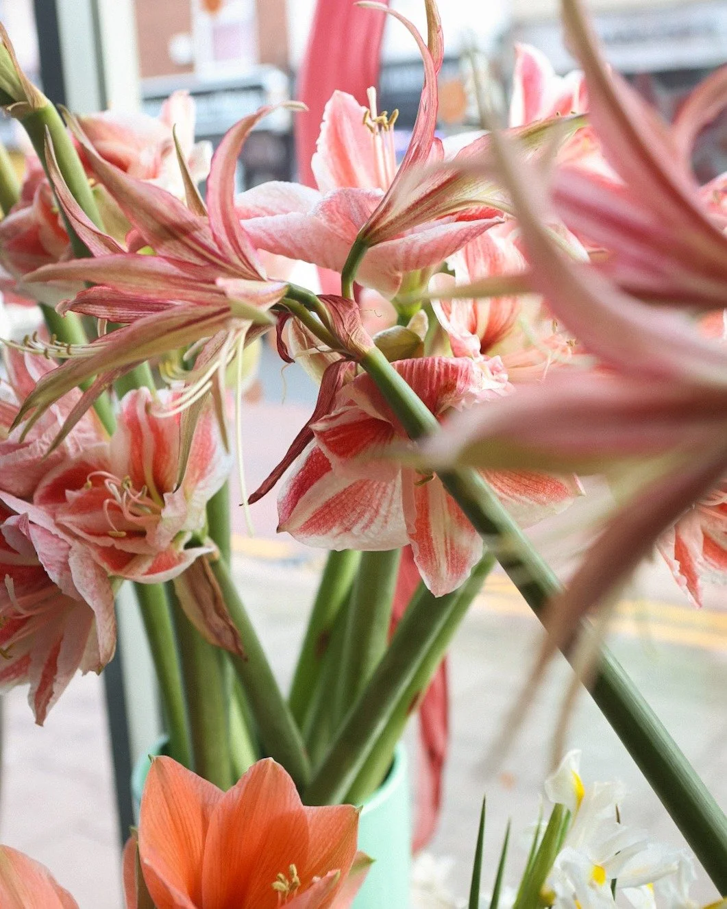 You will find a curated selection of charming festive florals and greenery for your Christmas table, mantle piece and to decorate your home with available to pre-order on our website... 

~ A trio of posies - available in three different sizes and cr