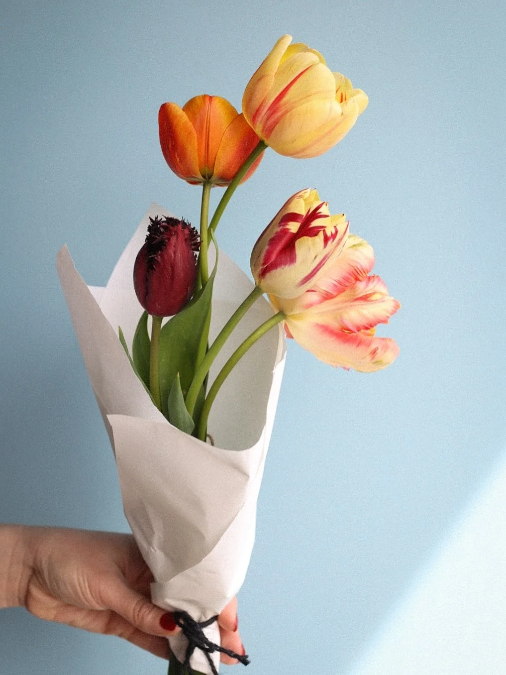 Ooofff these tulips are something else 🌷🍭
straight from the beautiful gardens of @stokesayflowers and ready to brighten up your tables this weekend. Pop in and grab a bunch for yourself or to gift someone you love &hellip; nothing says it better th