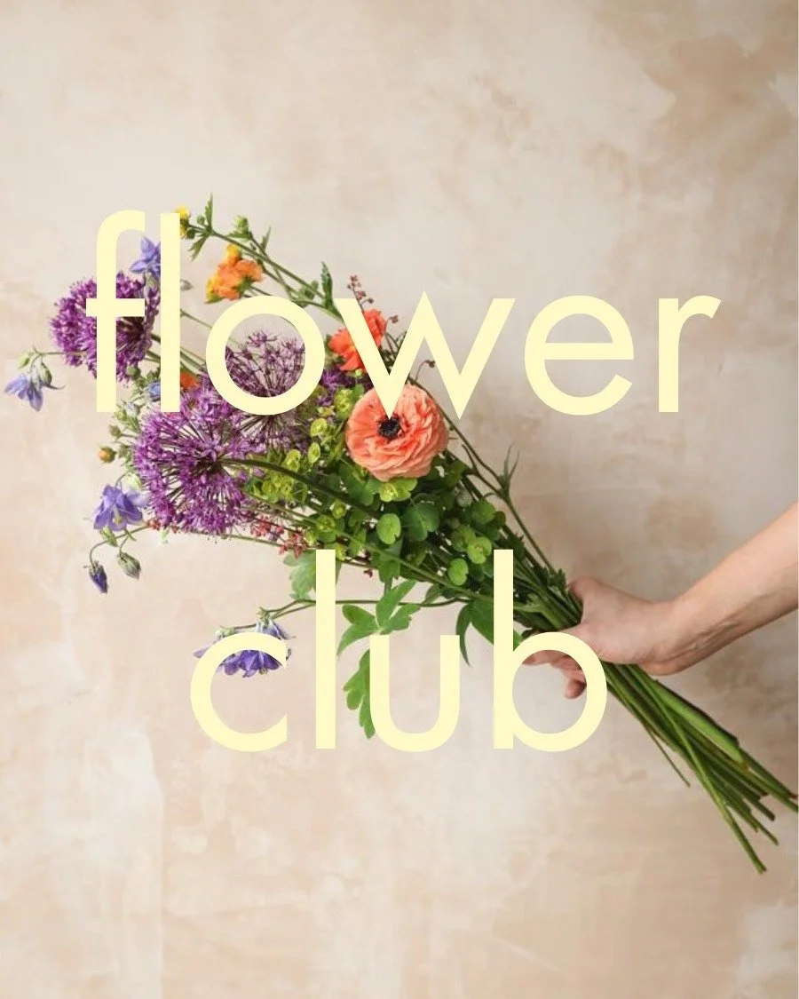 hedge flower club is back!
a fortnightly bouquet delivery of british seasonal flowers and foliage, fresh from the farm, arranged into a glass jar and brought to your door (or if you prefer you can collect from our store in stirchley)

each friday you