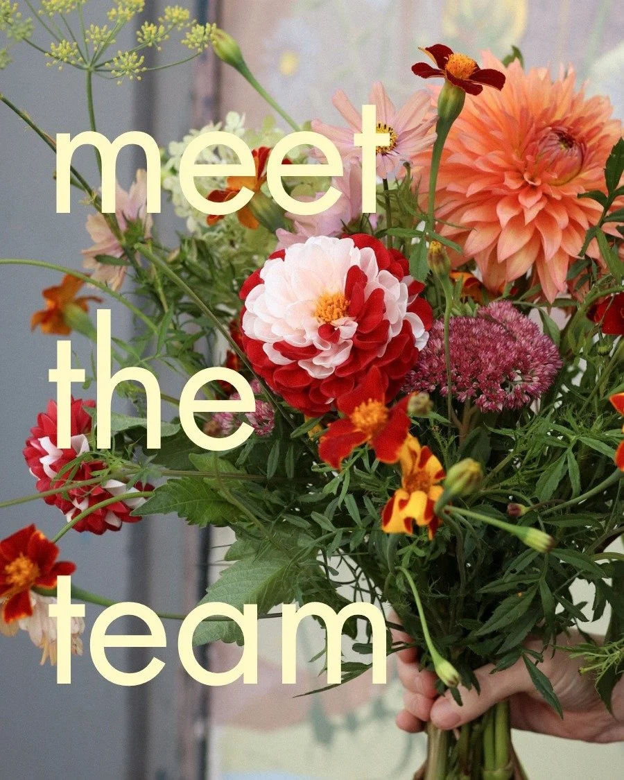 MEET THE TEAM ~ behind hedge is a group of wonderful, skilled women, each bringing something unique to the table, united by a love of creativity, thoughtful design, sustainability and beautiful flowers. We've put together a little bit about each of u