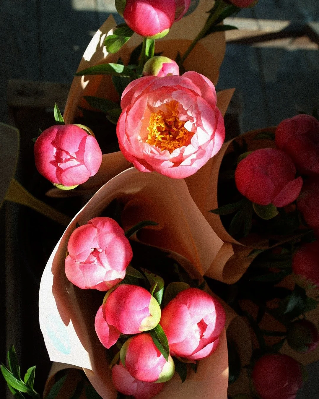 Peony drop - May 8th 🌸🌸🌸 
we all love a peony and more so as the season is short. whilst it is here though you can get your hands on the loveliest varieties from us. this week we will have &lsquo;coral sunset&rsquo; - one of our favourite varietie