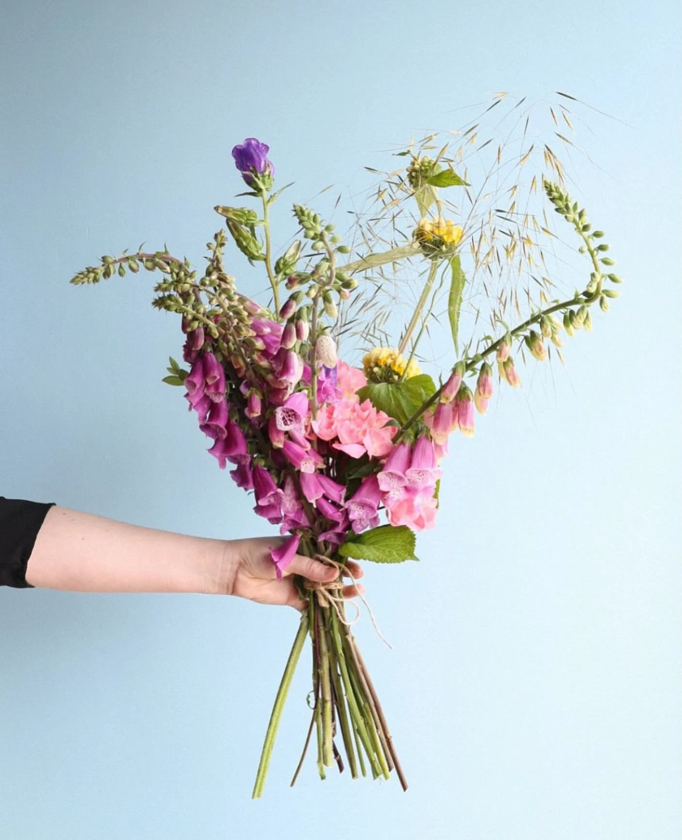 shop bunches ready to go go go&hellip;
I am considering restarting postal bouquets, what do you think?
