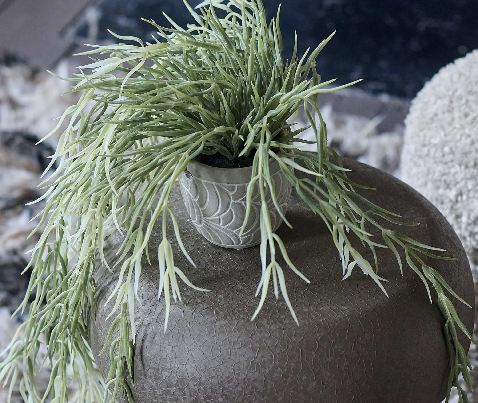 Screenshot 2026-01-21 at 12.04.41.png