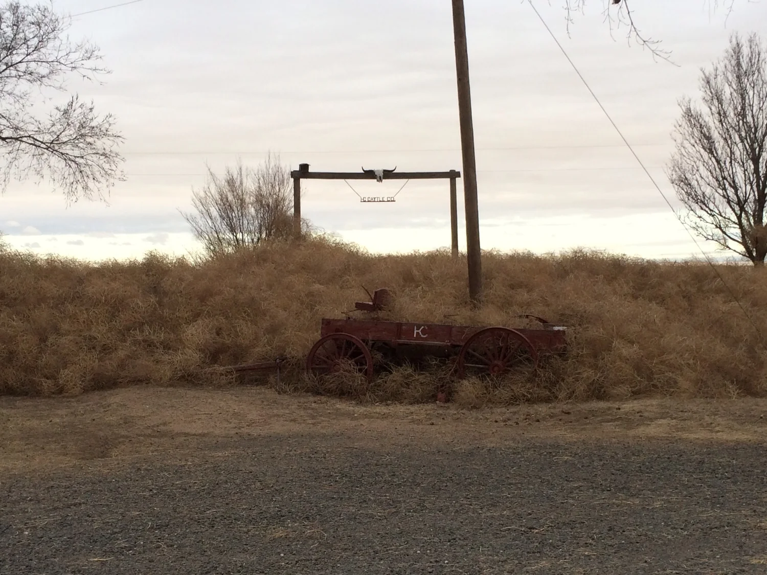 carterdesign_tumbleweed_hccattleco.jpg