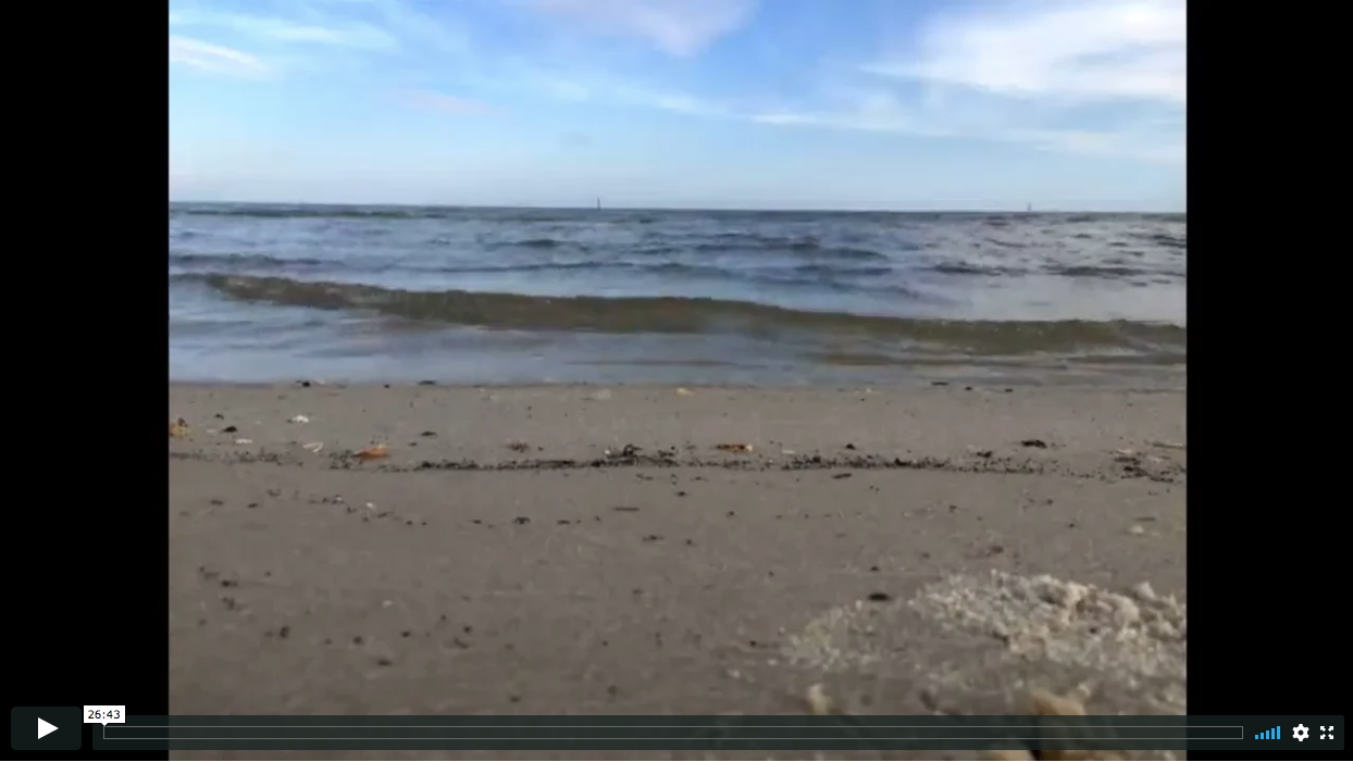 2019-09-18 Ocean Gazing with the Gulf Of Mexico