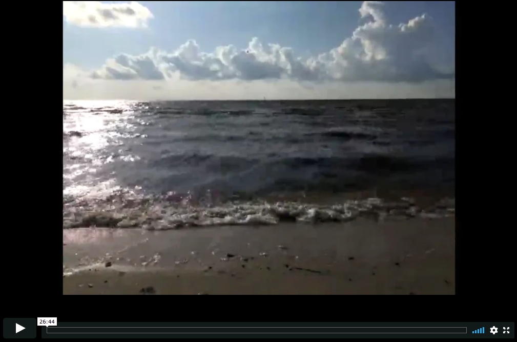 2019-09-28 Ocean Gazing with the Gulf Of Mexico