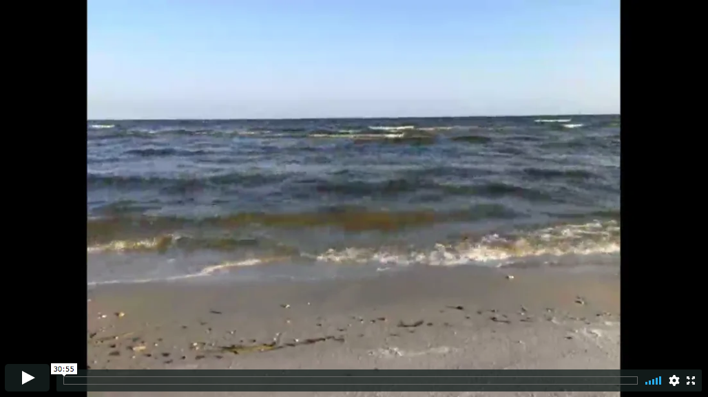 2019-10-02 Ocean Meditation with the Gulf Of Mexico