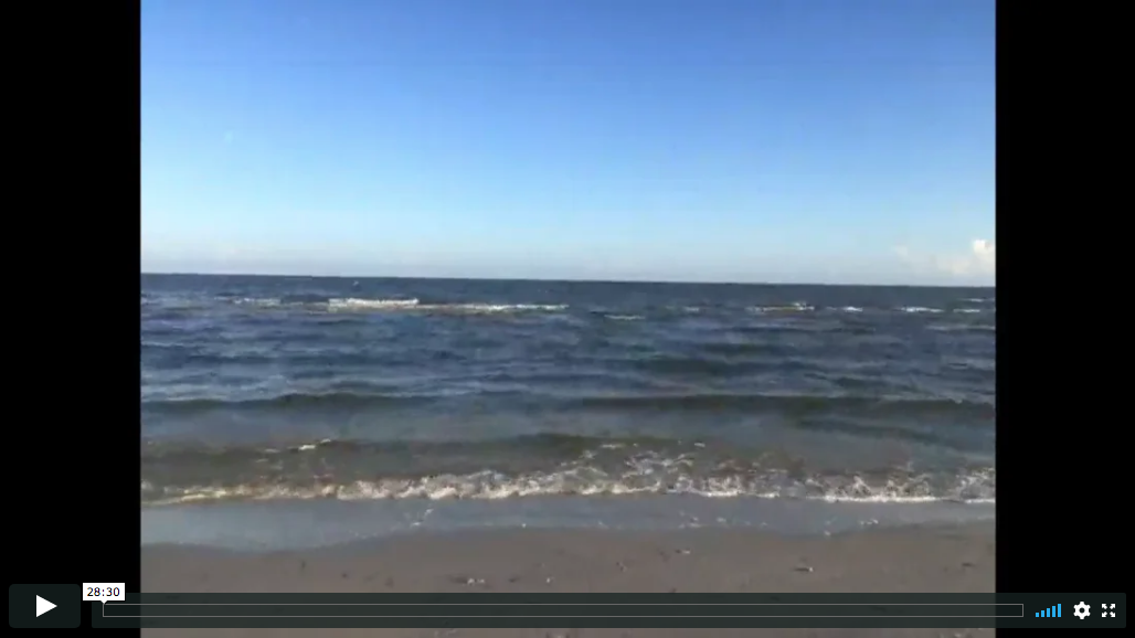 2019-10-09 Ocean Meditation with the Gulf Of Mexico