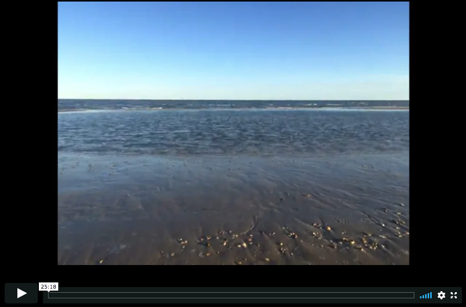 2019-10-23 Ocean Meditation with the Gulf Of Mexico