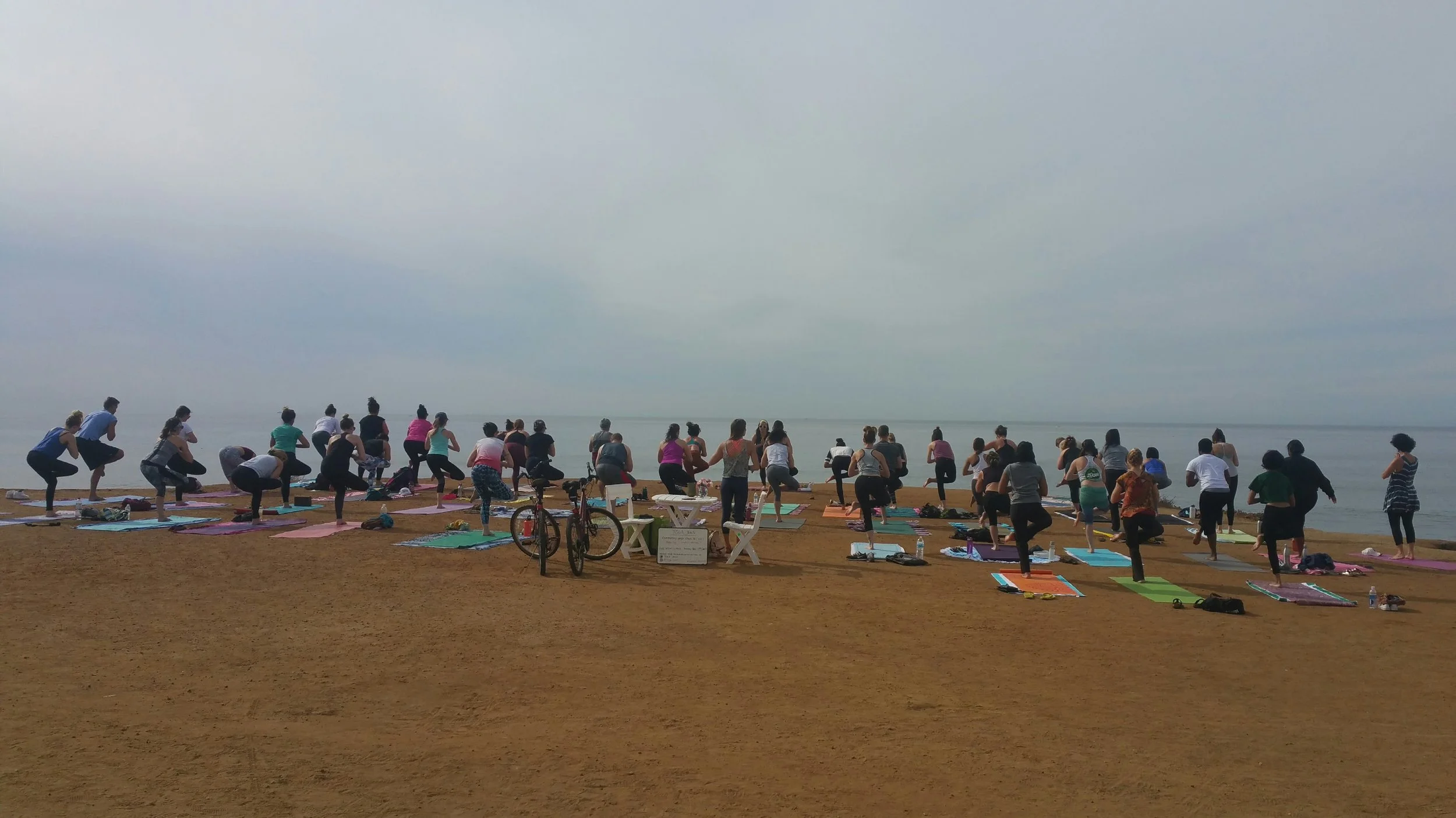 December 10th: Class recap and Food and toy drive details!