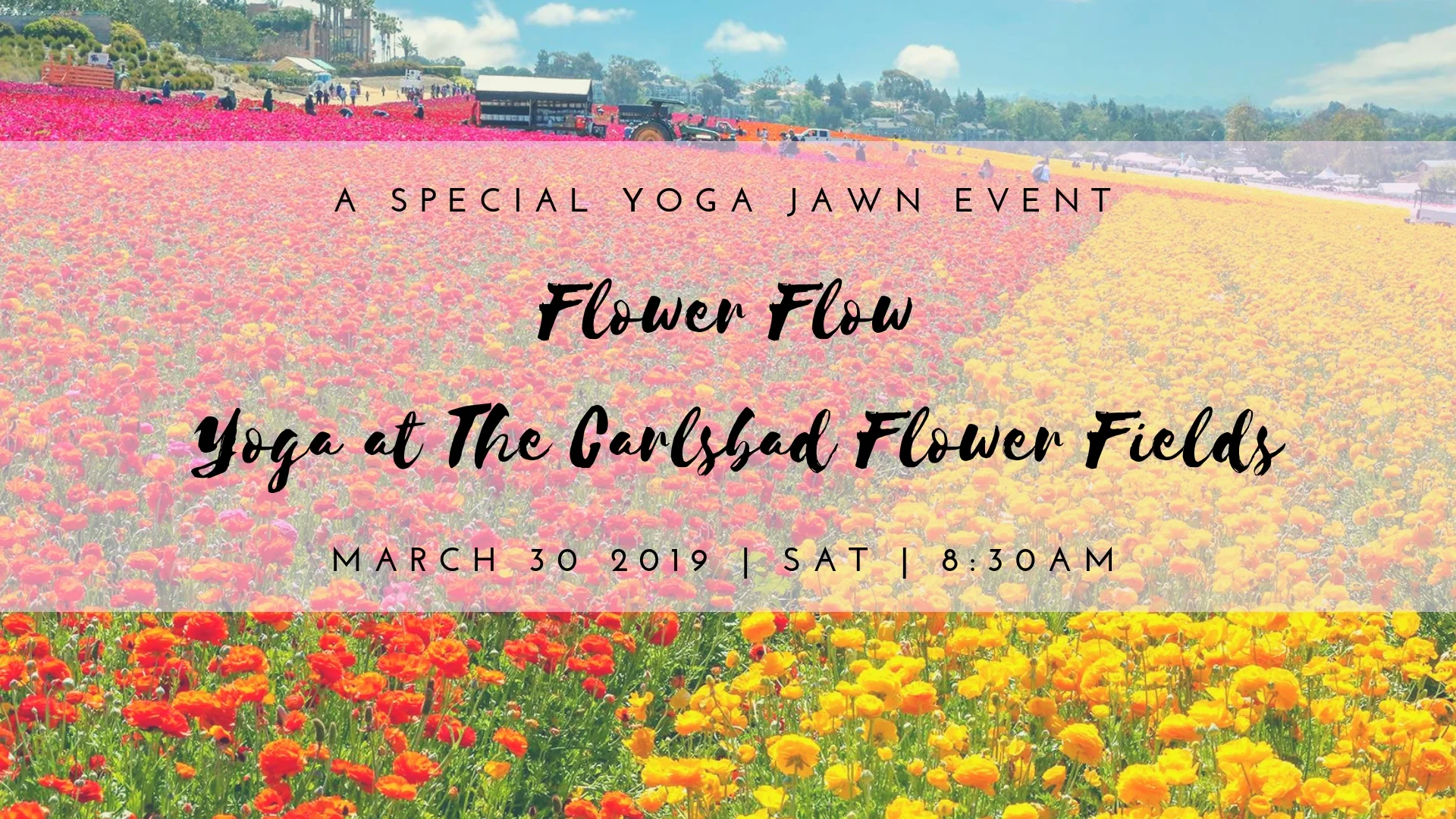 Flower Flow.jpg