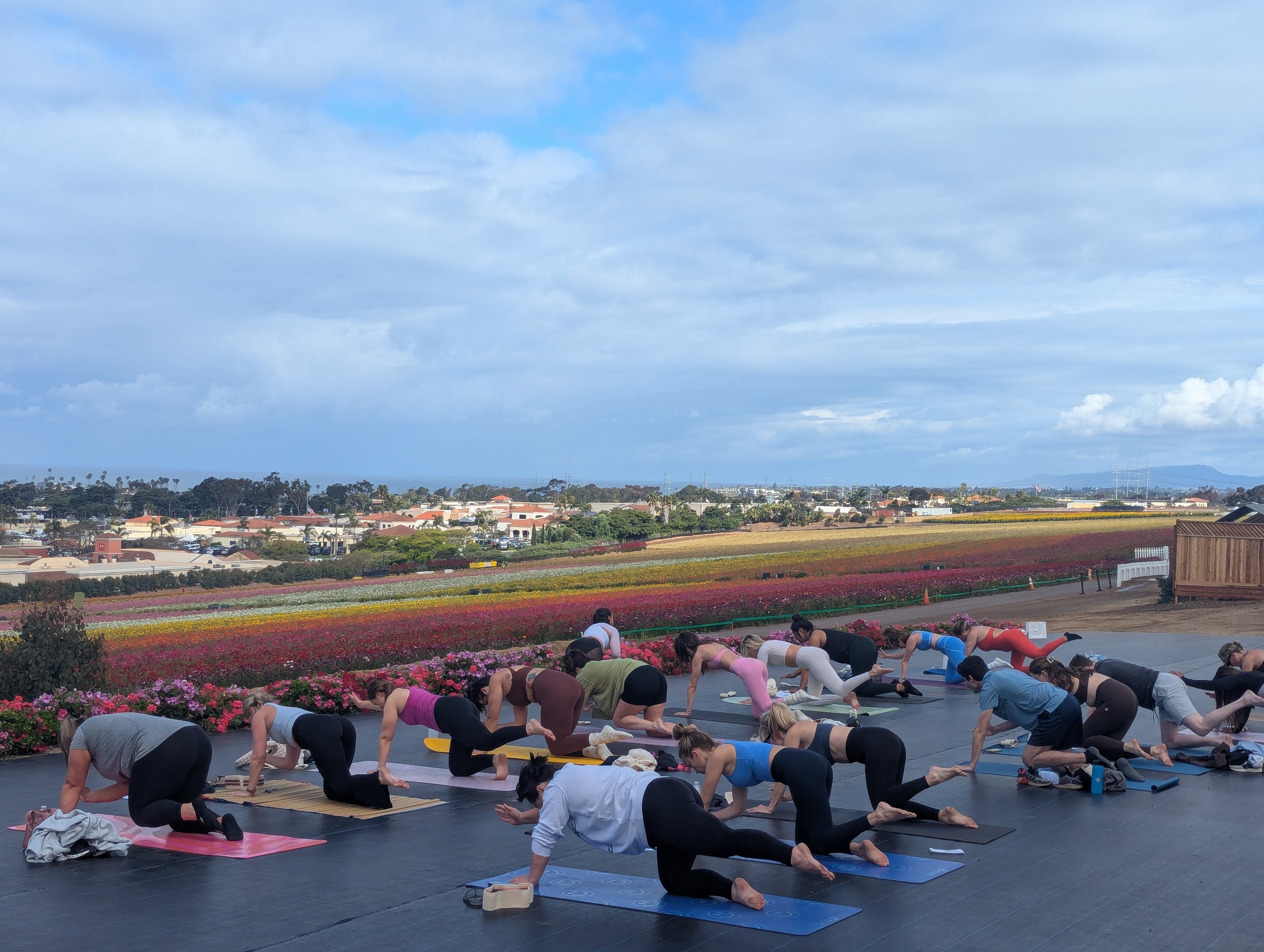 Yoga at the Flower Fields Carlsbad | April Wellness Events San Diego