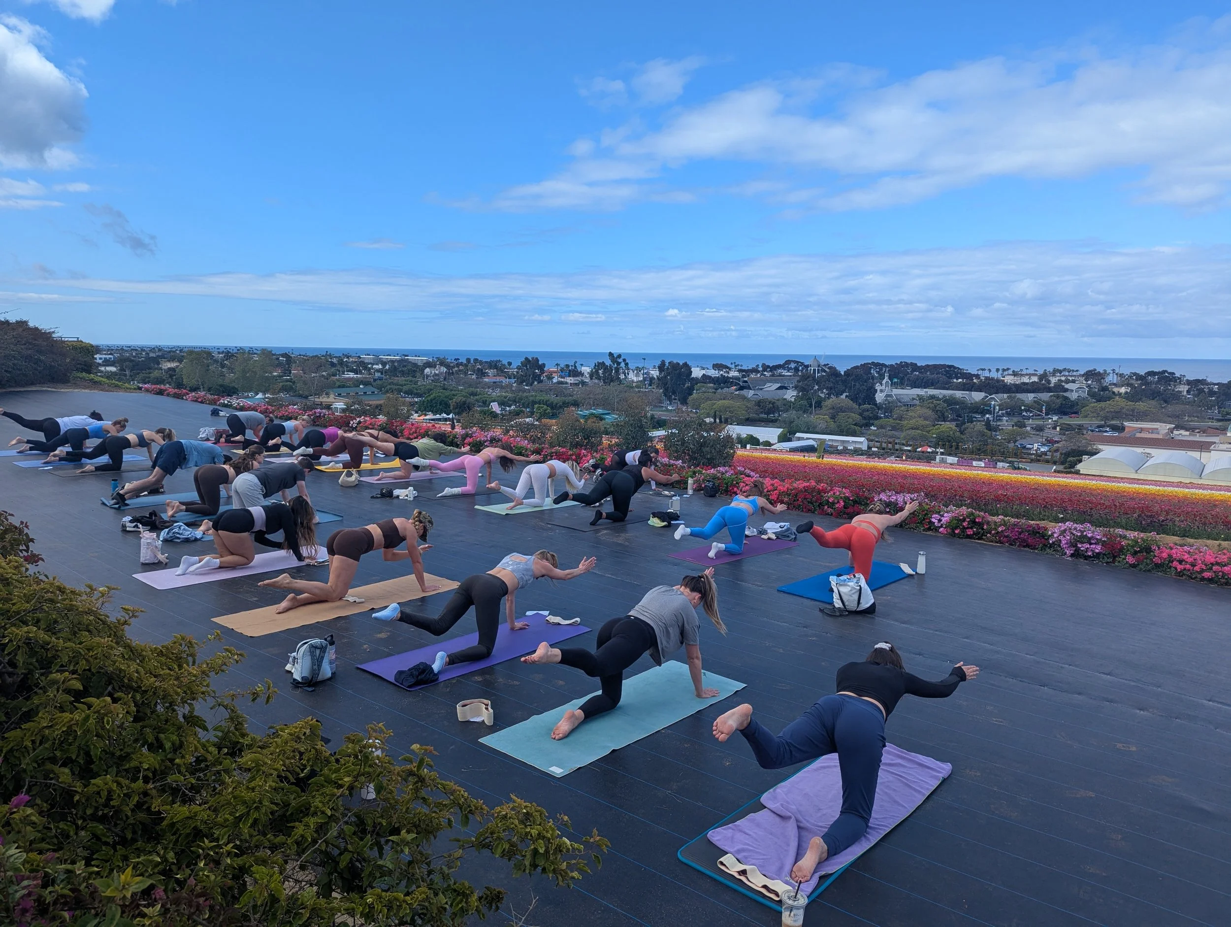 outdoor yoga class at the Flower Fields Carlsbad San Diego spring
