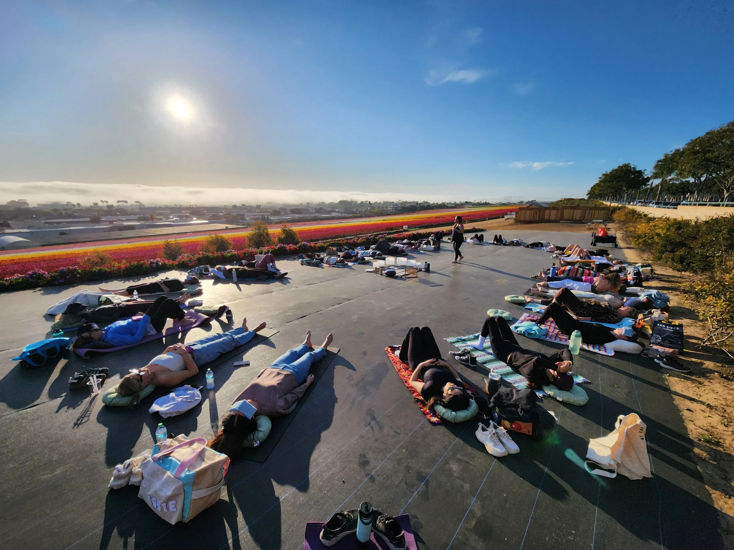Yoga class in meditation during sunset at the flower fields