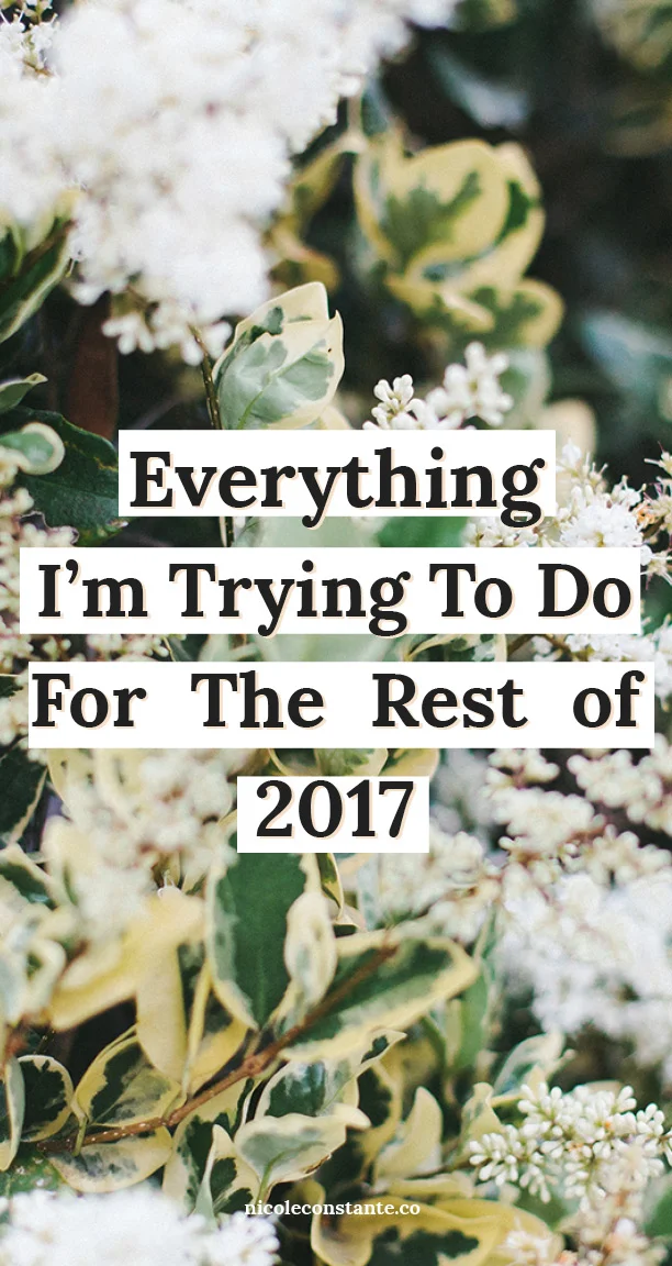rest of 2017.jpg