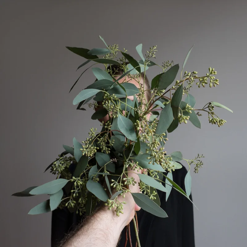 igiveyou_seeded_eucalyptus.jpg
